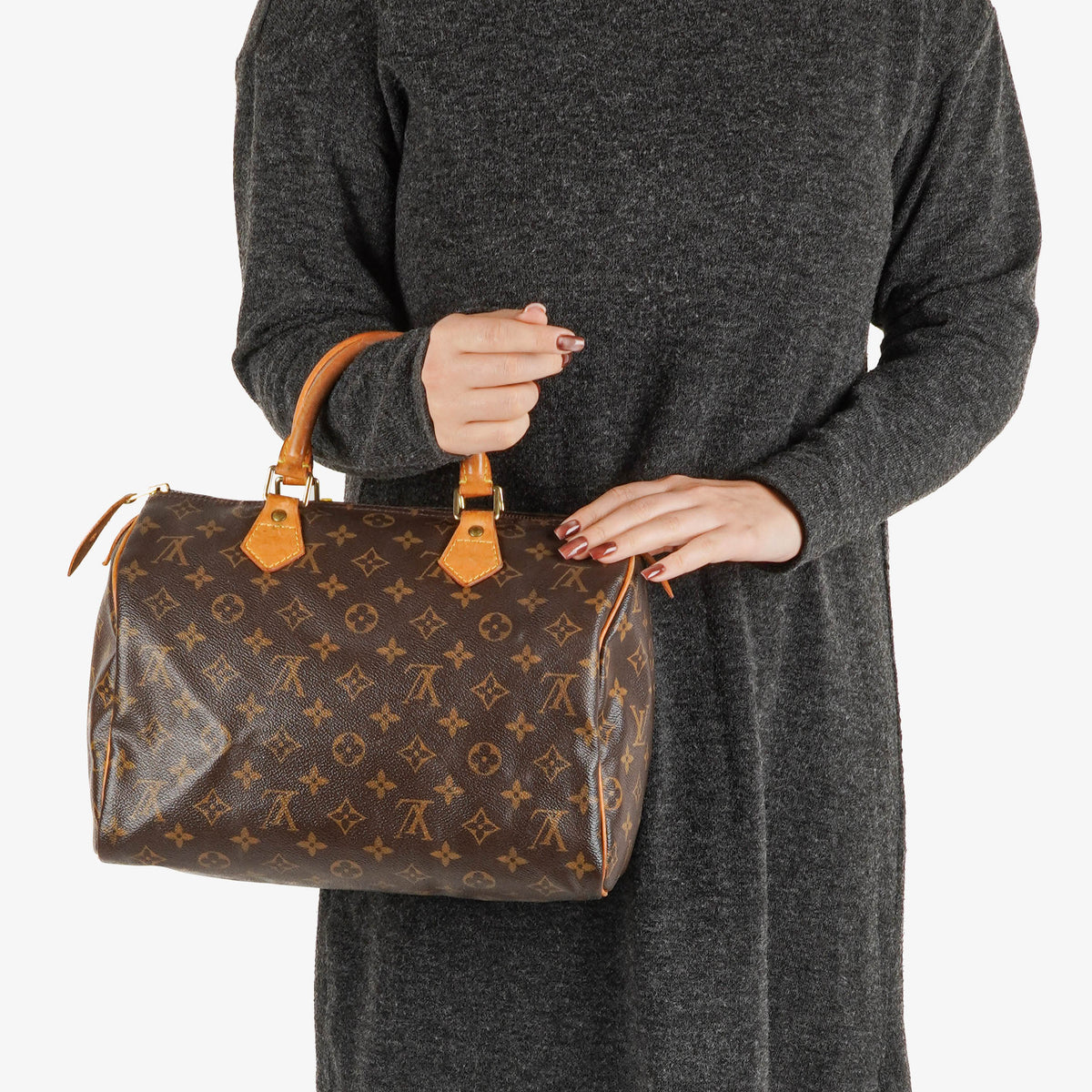 Louis Vuitton Speedy 30 Monogram Canvas Bag