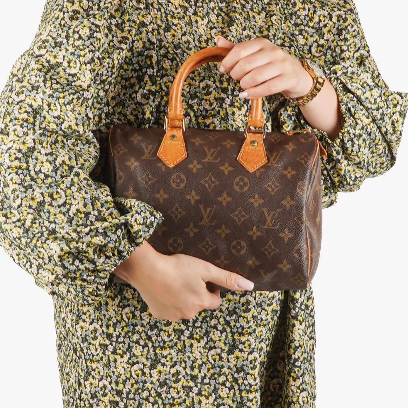 Louis Vuitton Speedy 25 Monogram Canvas Bag