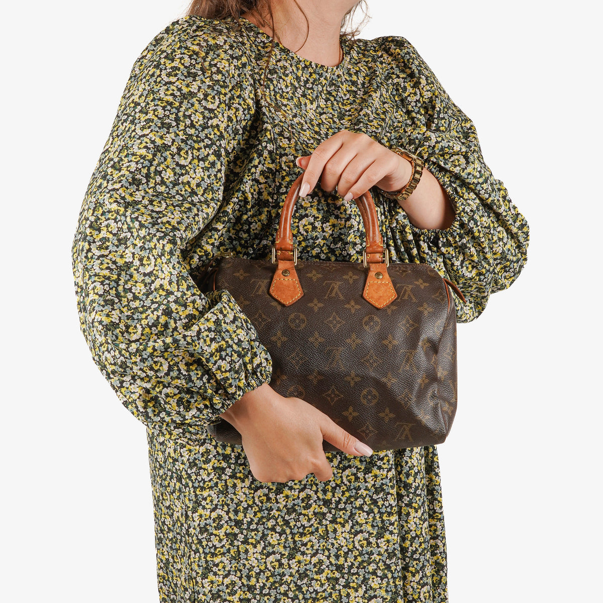 Louis Vuitton Speedy 25 Monogram Canvas Bag