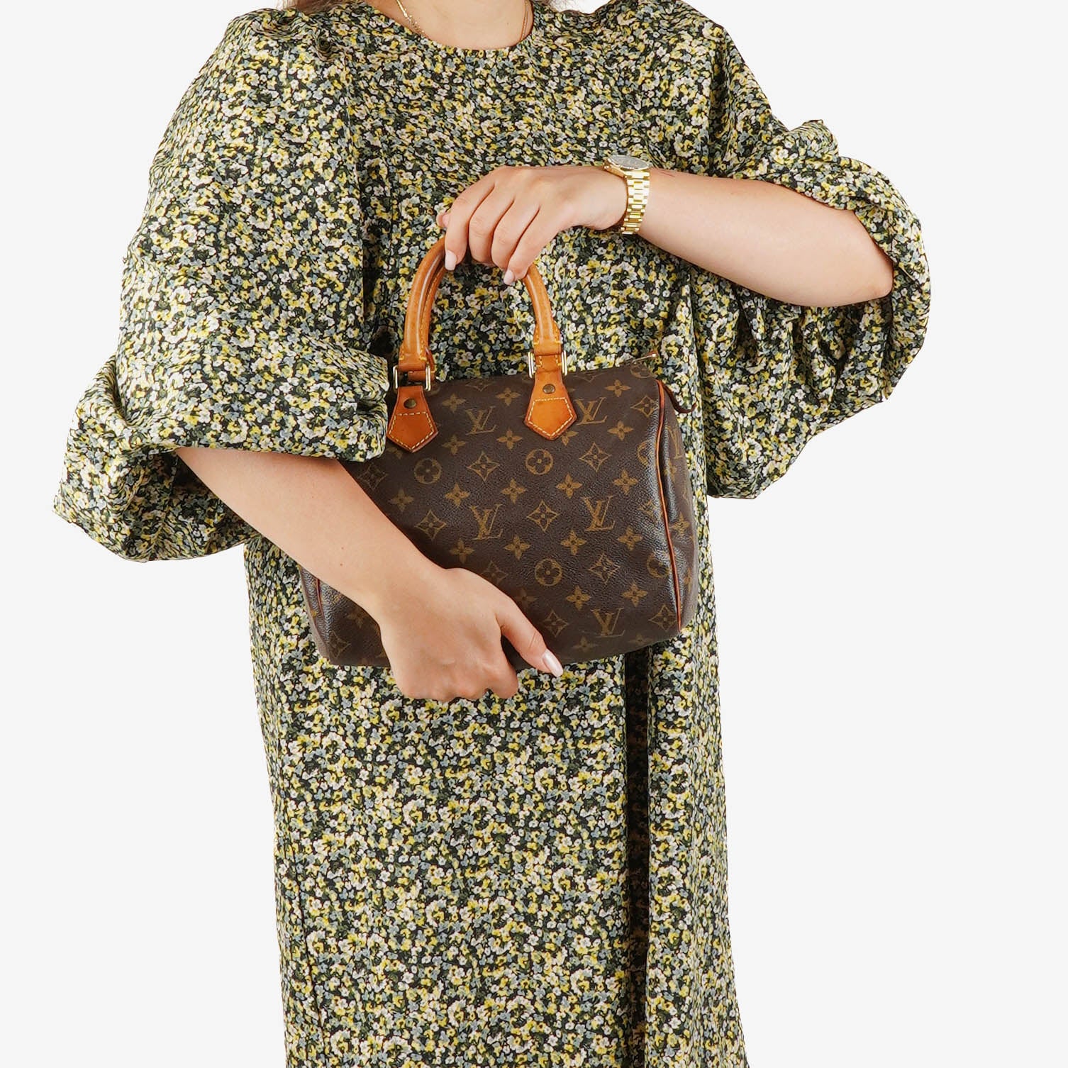Louis Vuitton Speedy 25 Monogram Canvas Bag