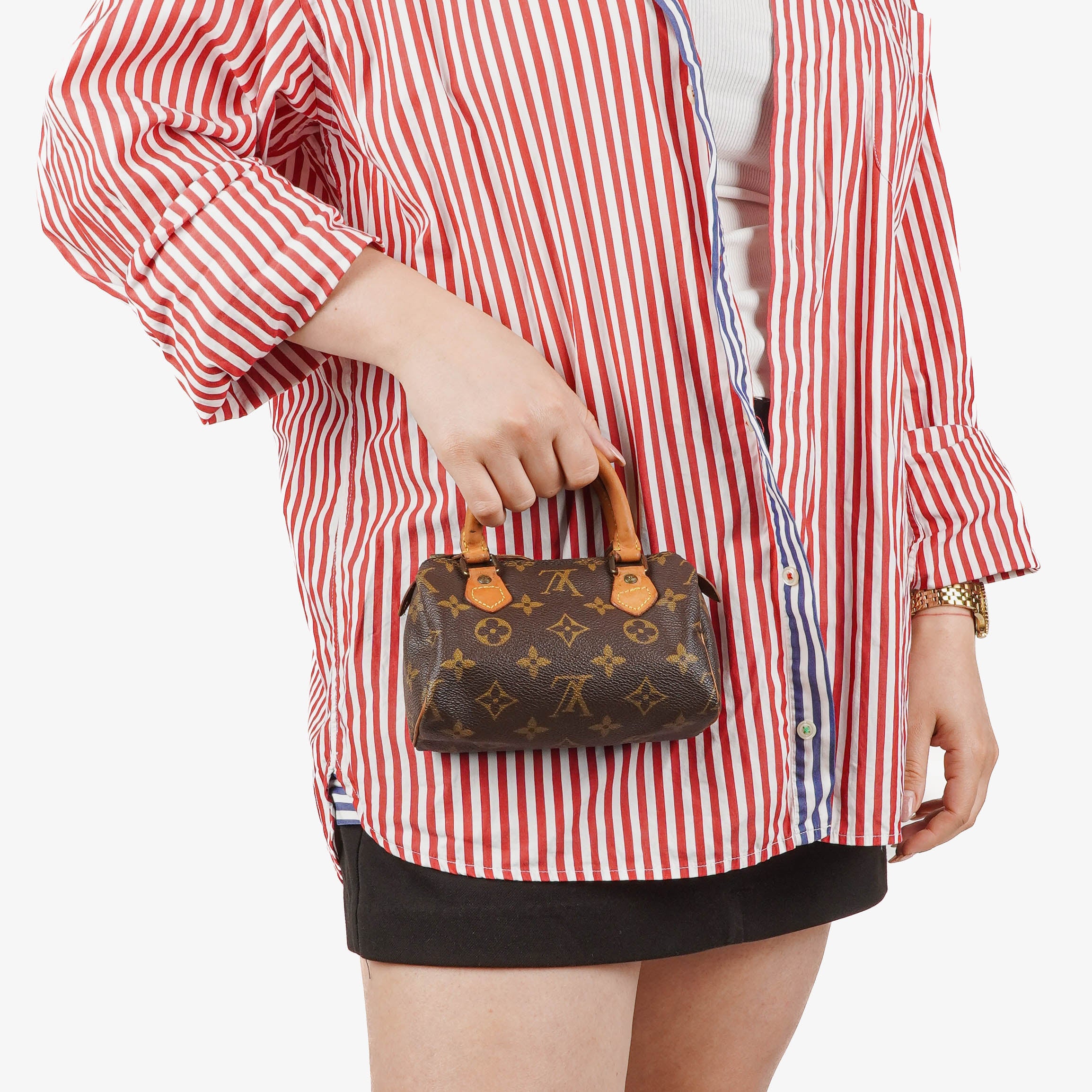 Louis Vuitton Nano Speedy Monogram Canvas Mini Bag
