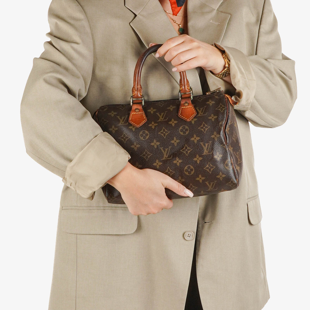 Louis Vuitton Speedy 25 Monogram Canvas Bag