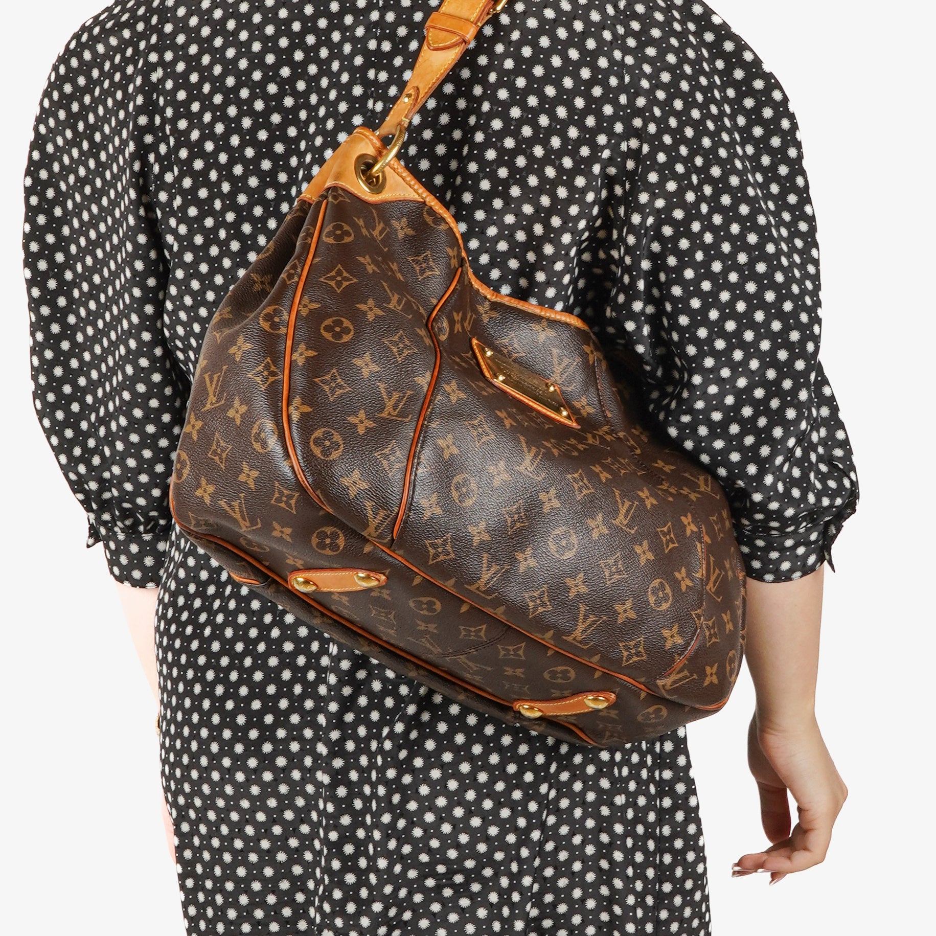 Louis Vuitton Monogram Canvas Galliera PM Bag