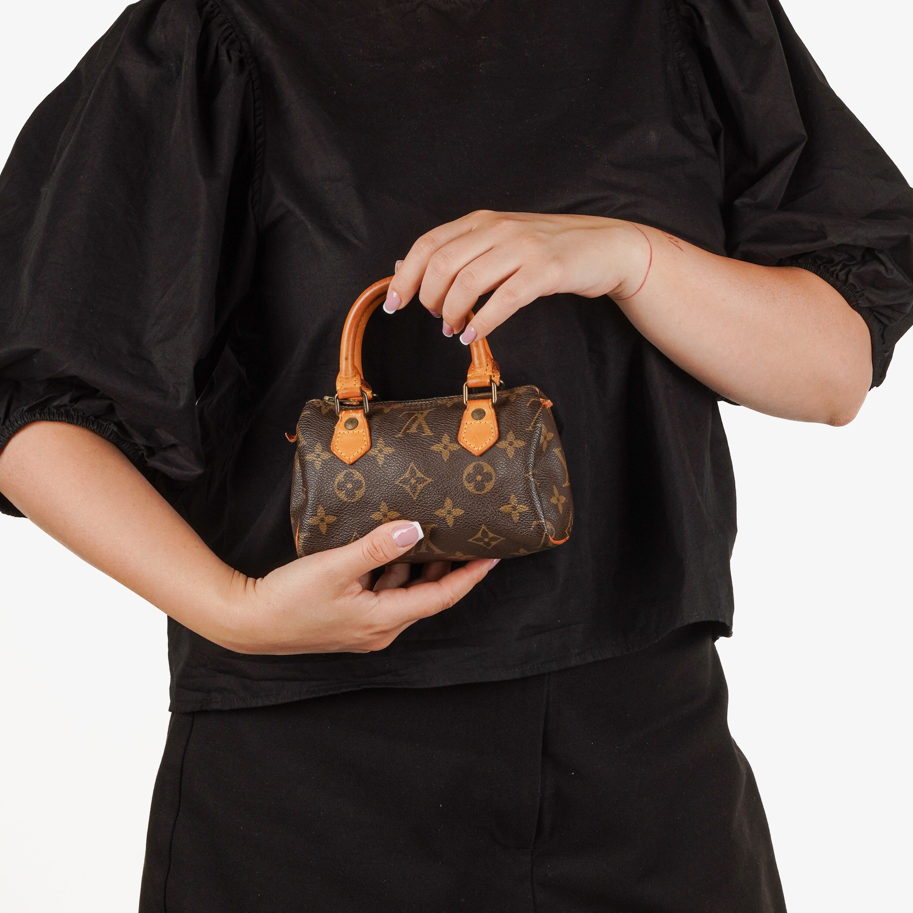 Louis Vuitton Nano Speedy Monogram Canvas Mini Bag