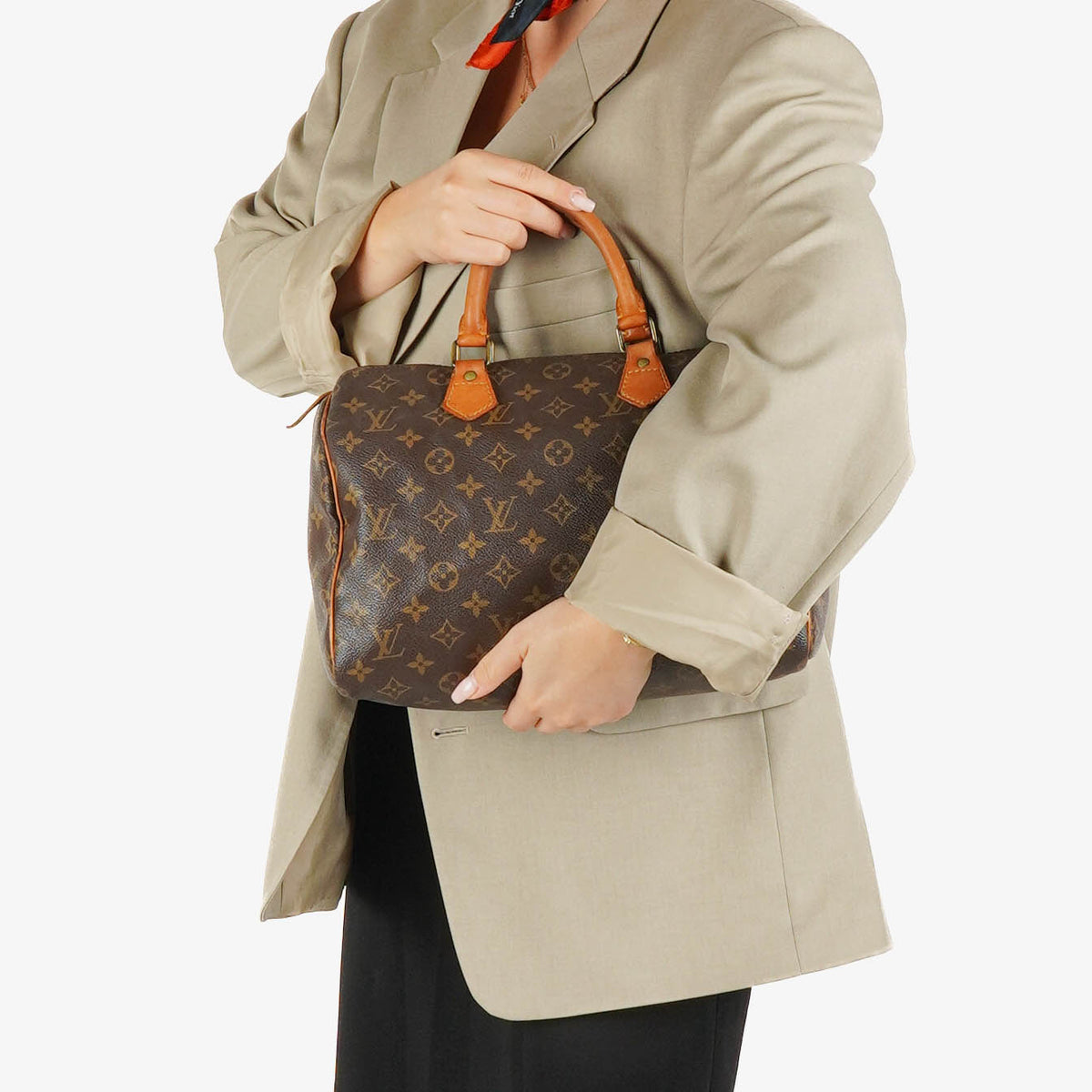 Louis Vuitton Speedy 30 Monogram Canvas Handbag