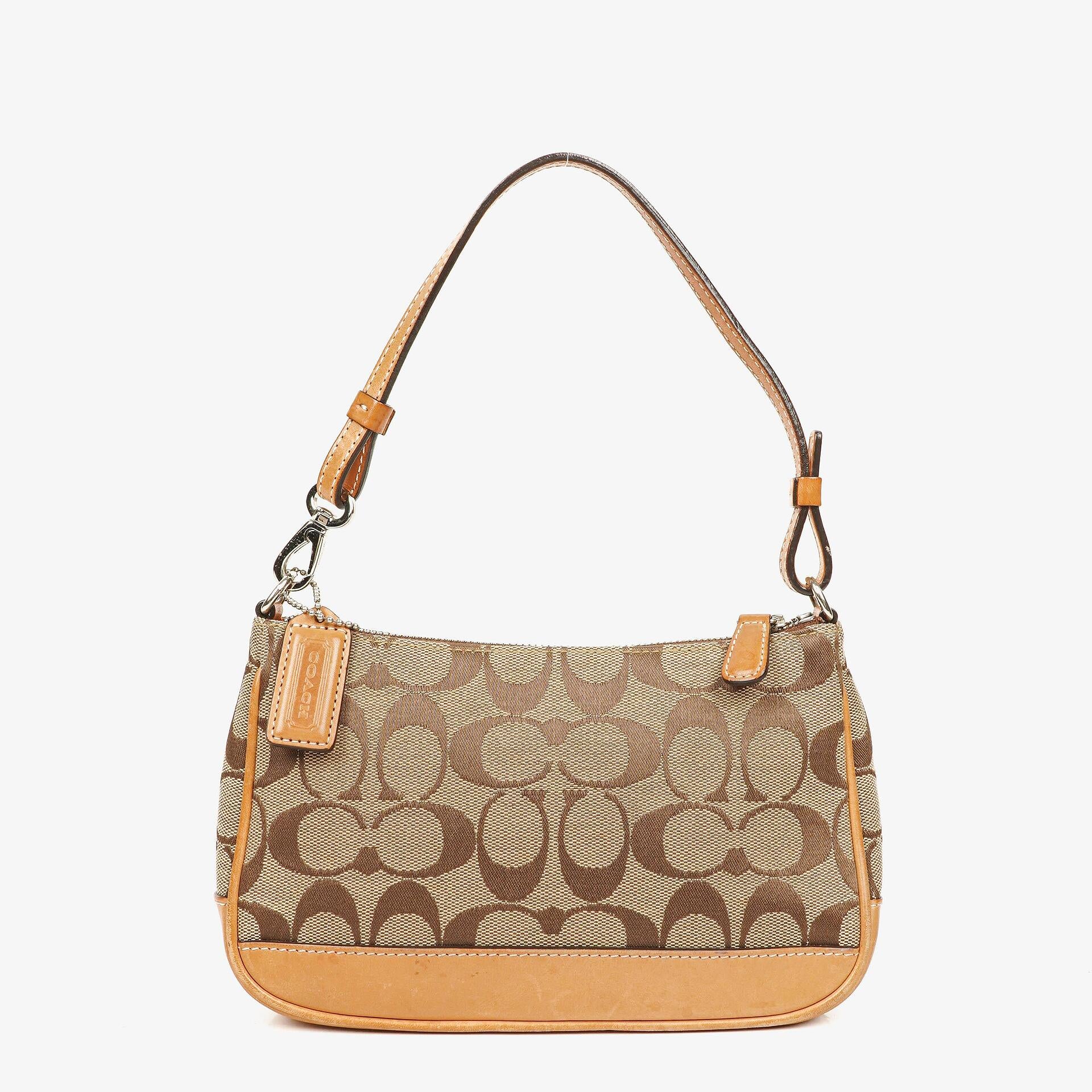 Coach Signature Small Hobo Bag