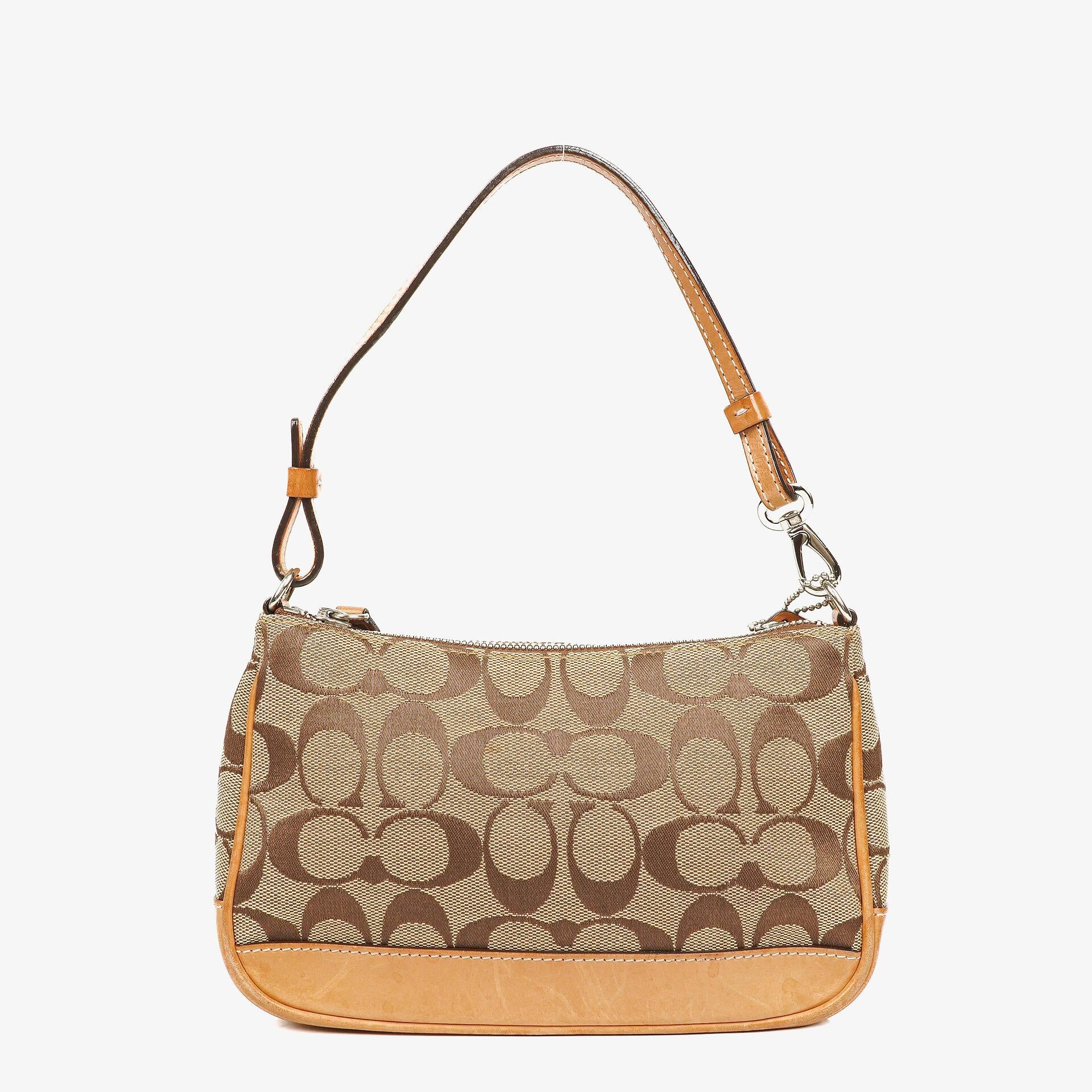 Coach Signature Small Hobo Bag