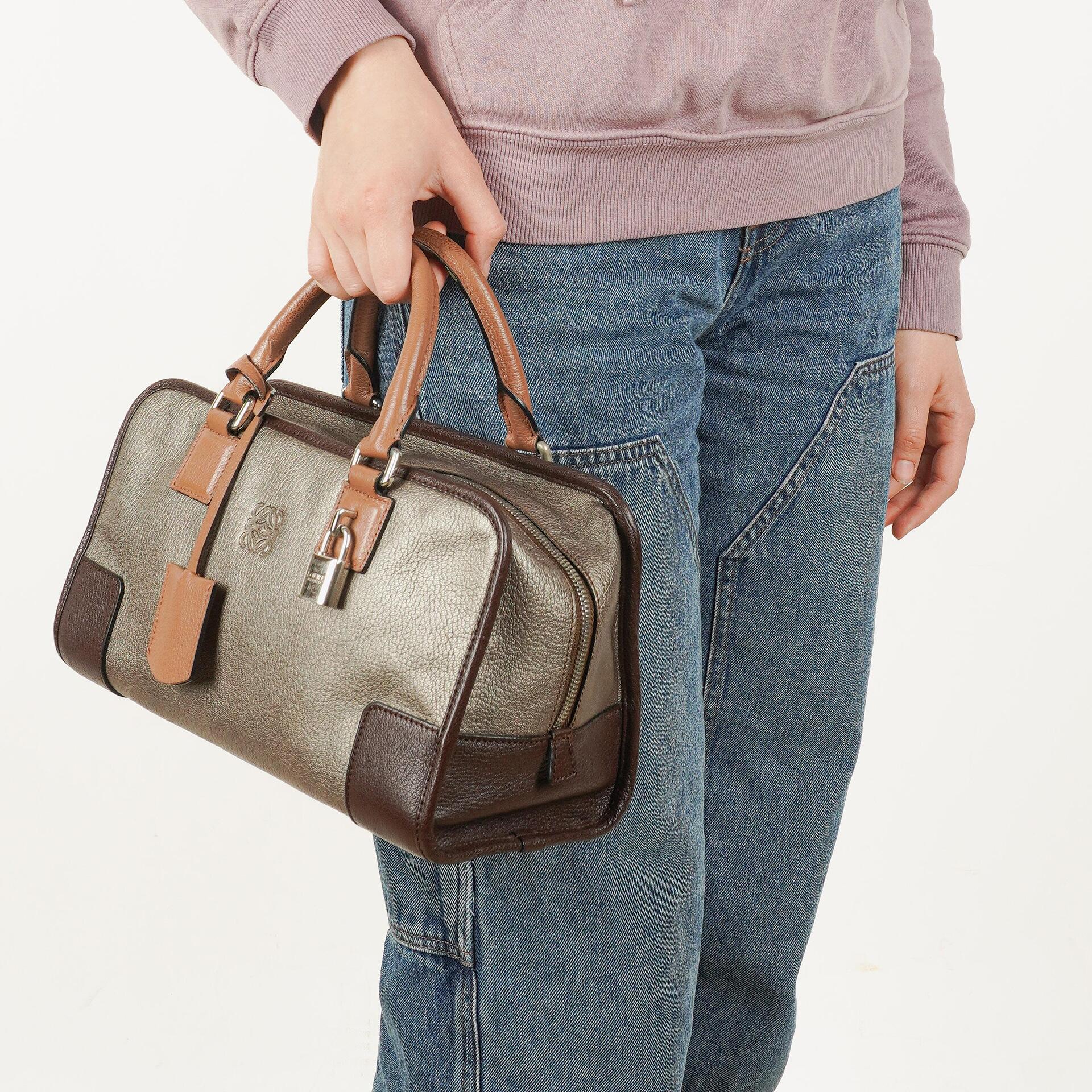 Loewe Amazona 28 Metallic Calfskin Handbag