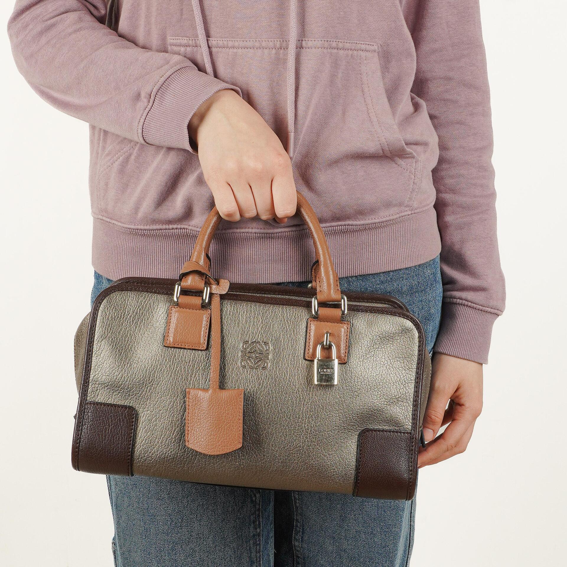 Loewe Amazona 28 Metallic Calfskin Handbag
