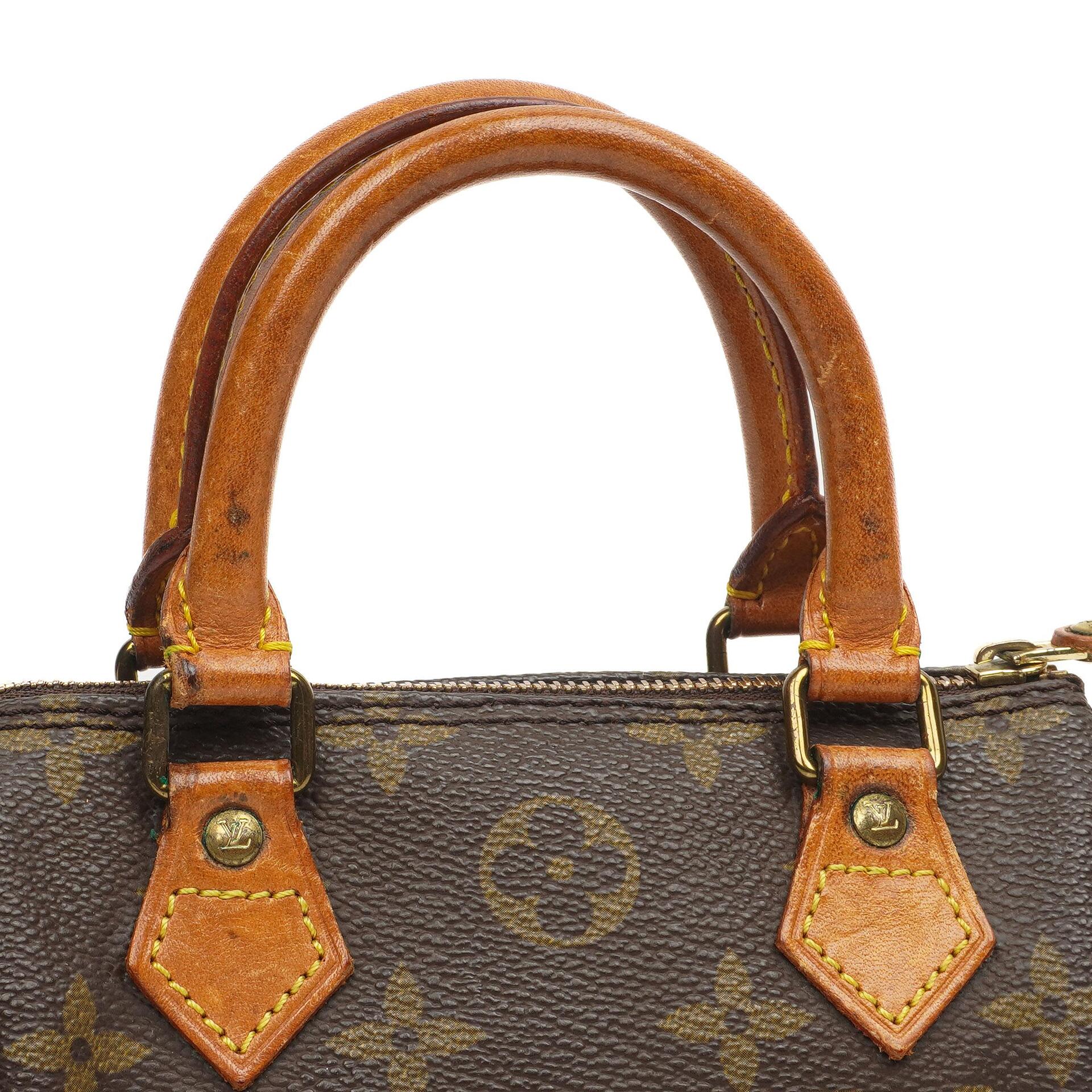 Louis Vuitton Nano Speedy Monogram Canvas Mini Bag