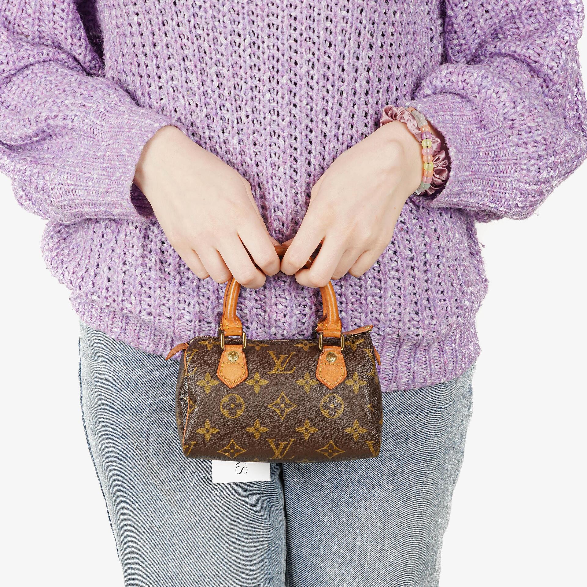 Louis Vuitton Nano Speedy Monogram Canvas Mini Bag