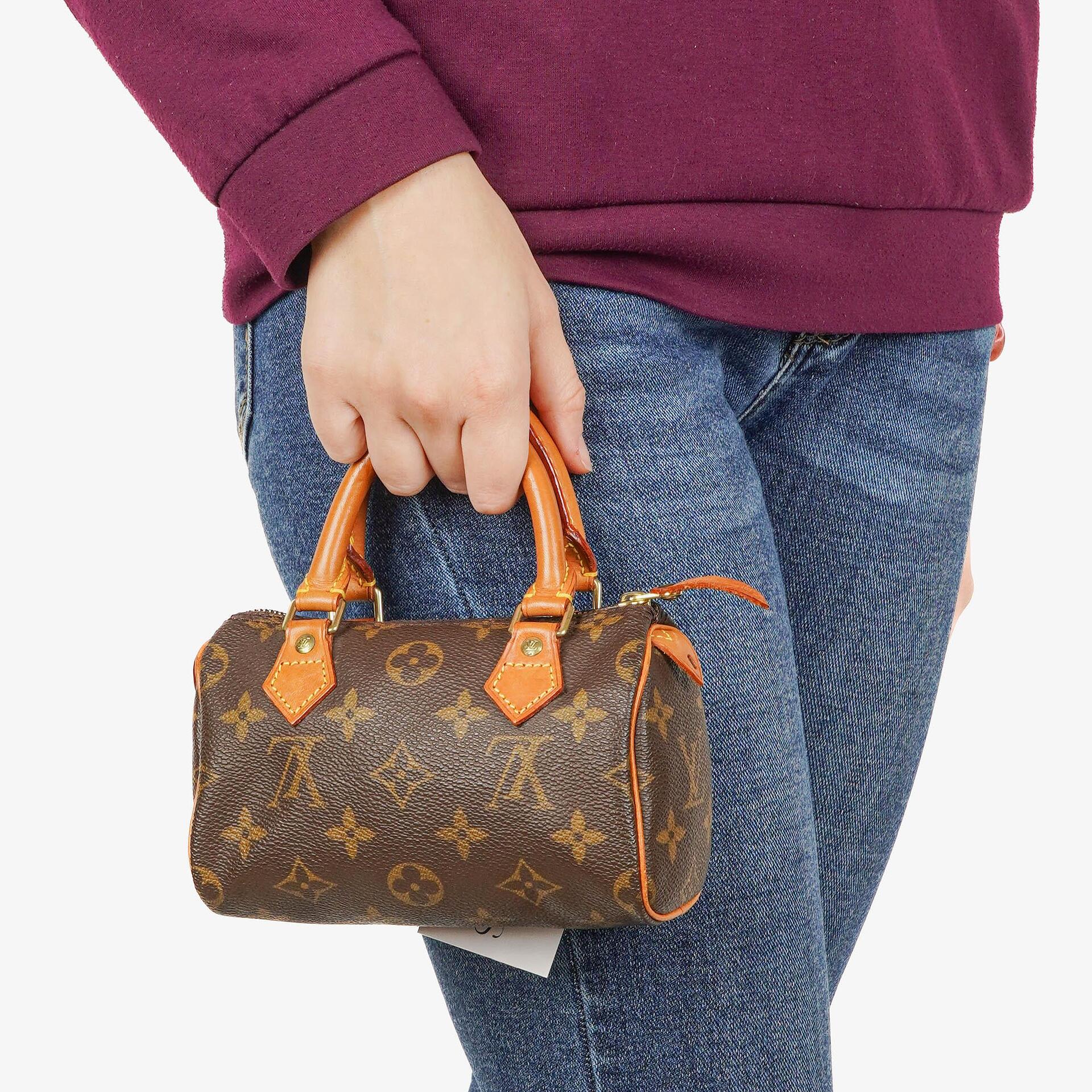 Louis Vuitton Nano Speedy Monogram Canvas Mini Bag