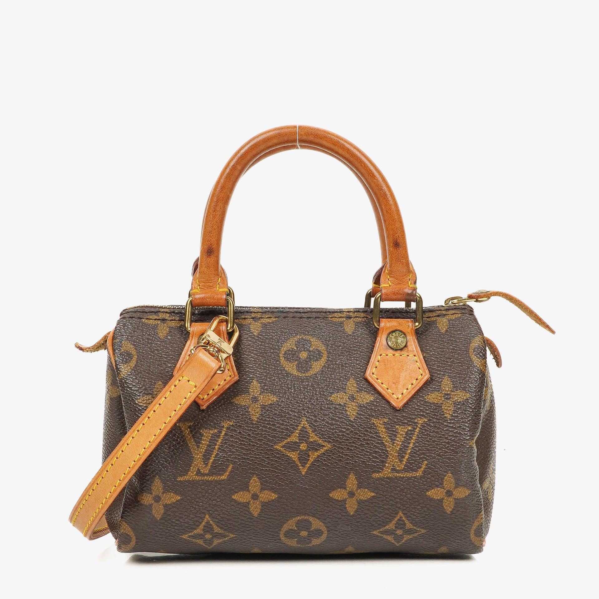 Louis Vuitton Nano Speedy Monogram Canvas Mini Bag