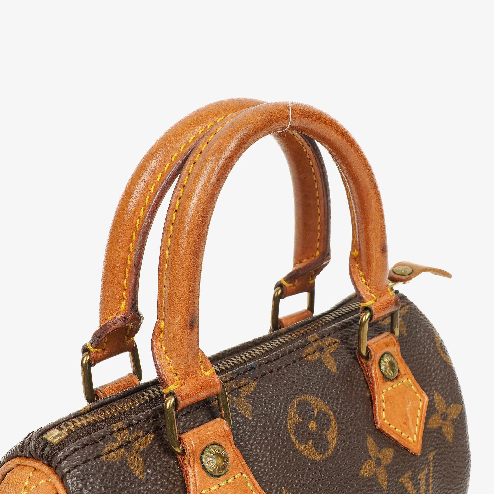 Louis Vuitton Nano Speedy Monogram Canvas Mini Bag
