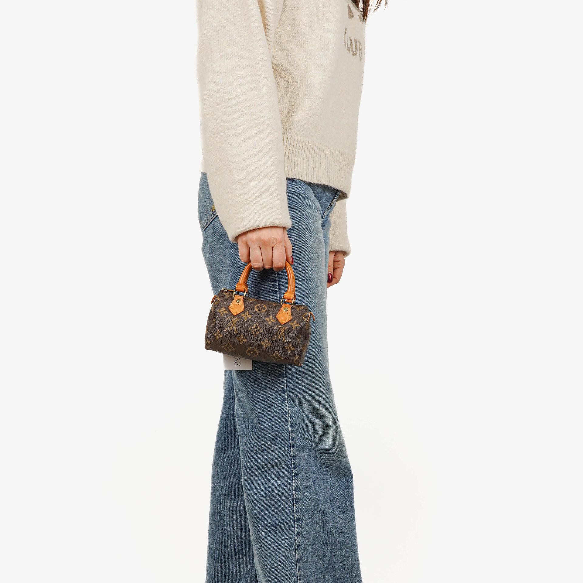 Louis Vuitton Nano Speedy Monogram Canvas Mini Bag