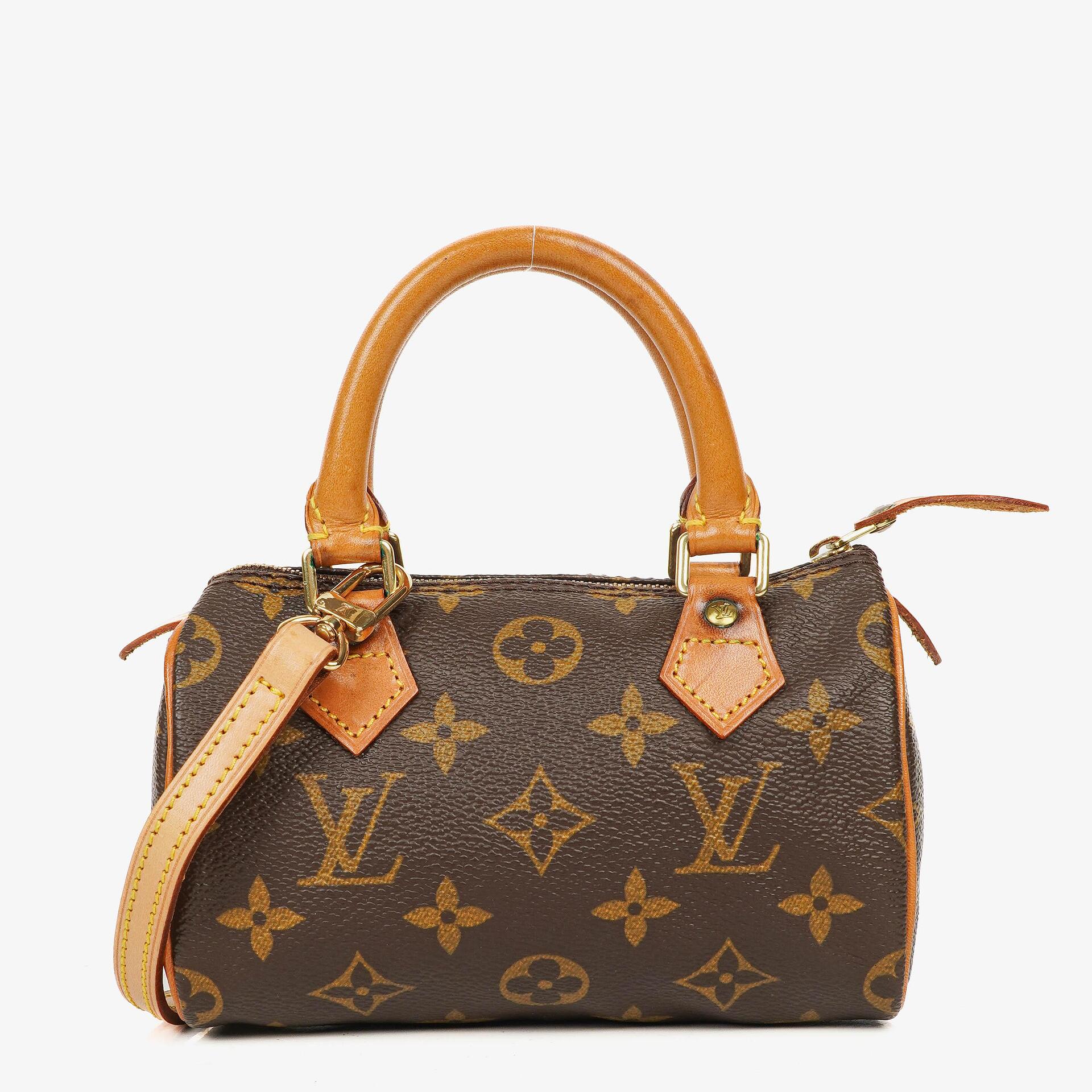 Louis Vuitton Nano Speedy Monogram Canvas Mini Bag