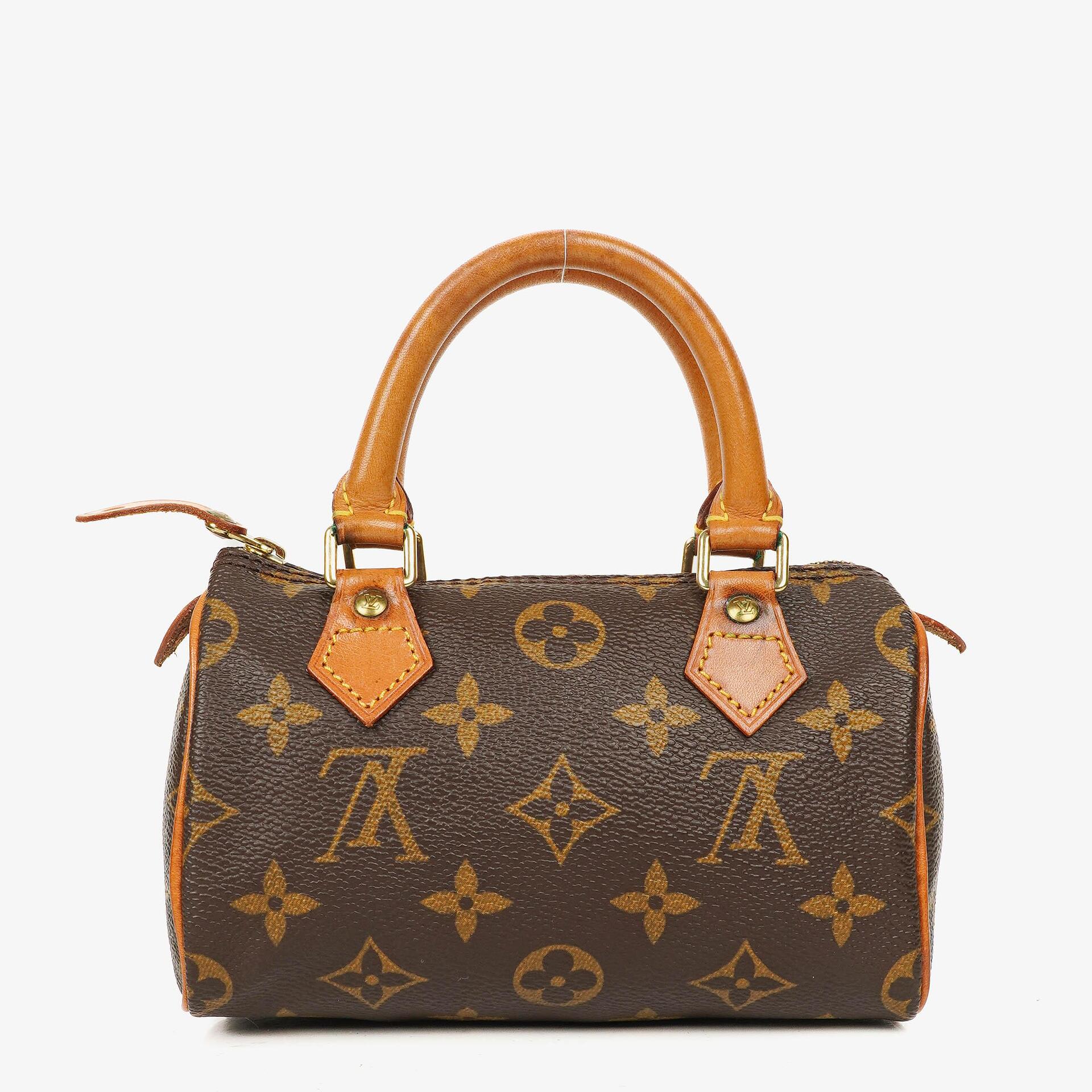 Louis Vuitton Nano Speedy Monogram Canvas Mini Bag