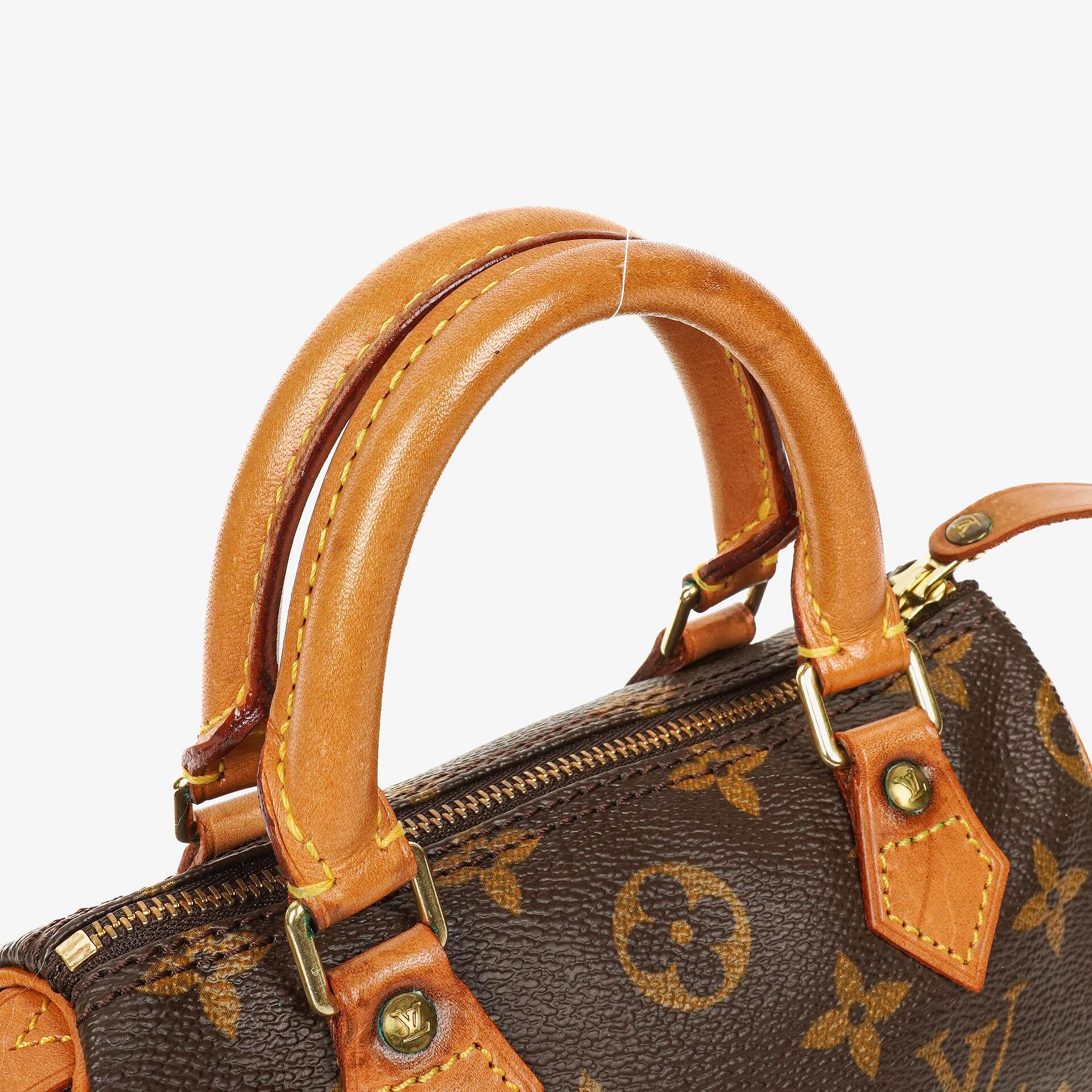 Louis Vuitton Nano Speedy Monogram Canvas Mini Bag