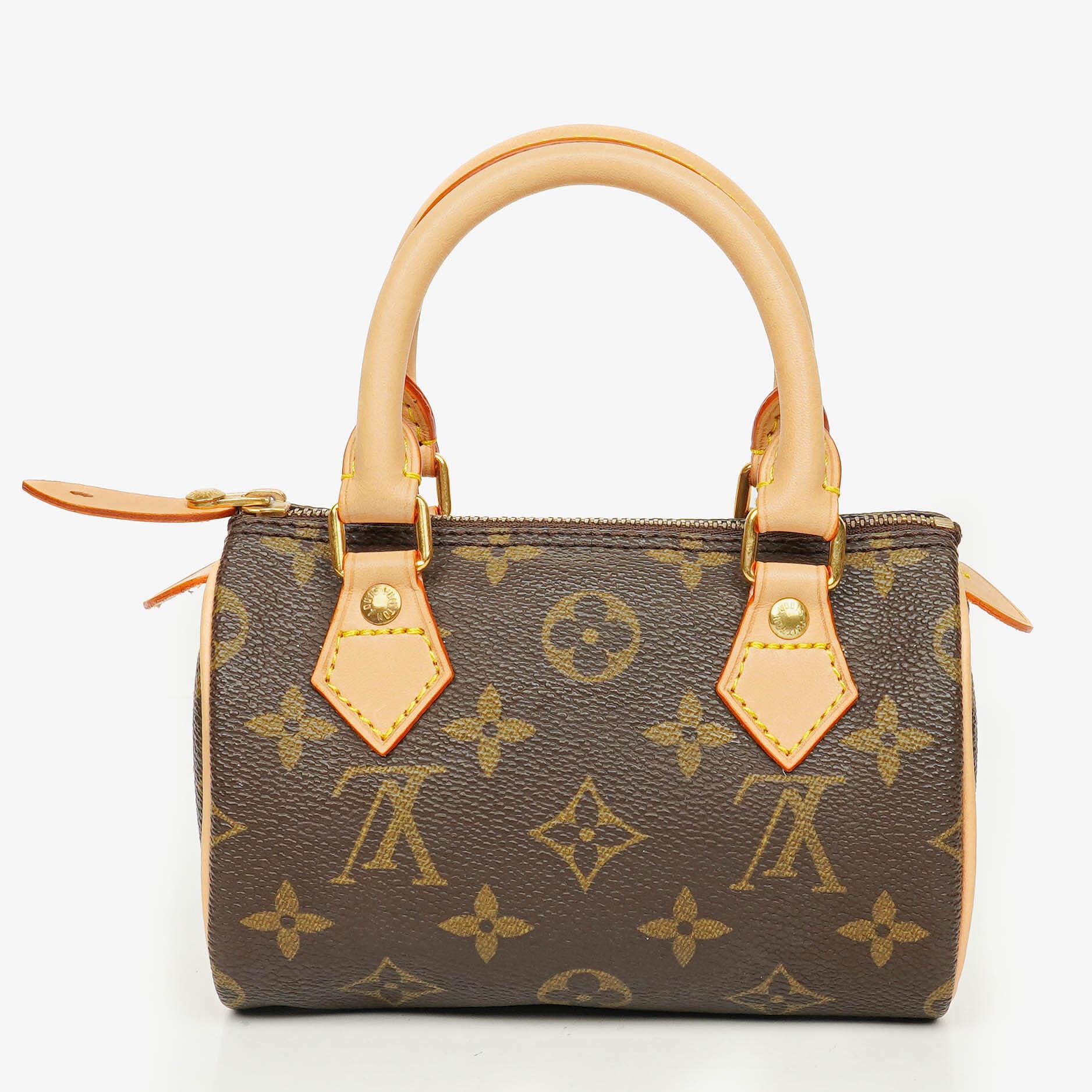 Louis Vuitton Nano Speedy Monogram Canvas Mini Bag