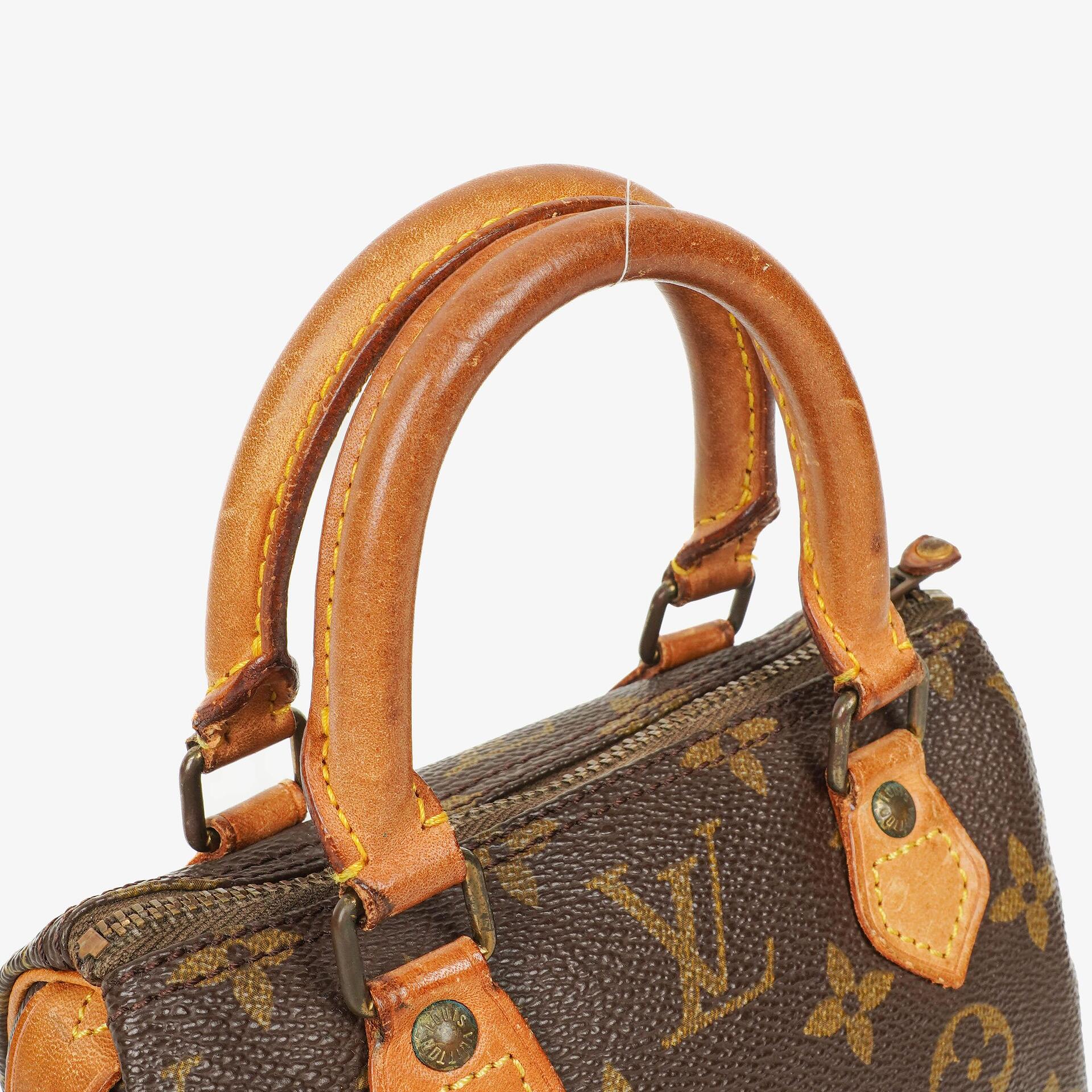 Louis Vuitton Nano Speedy Monogram Canvas Mini Bag