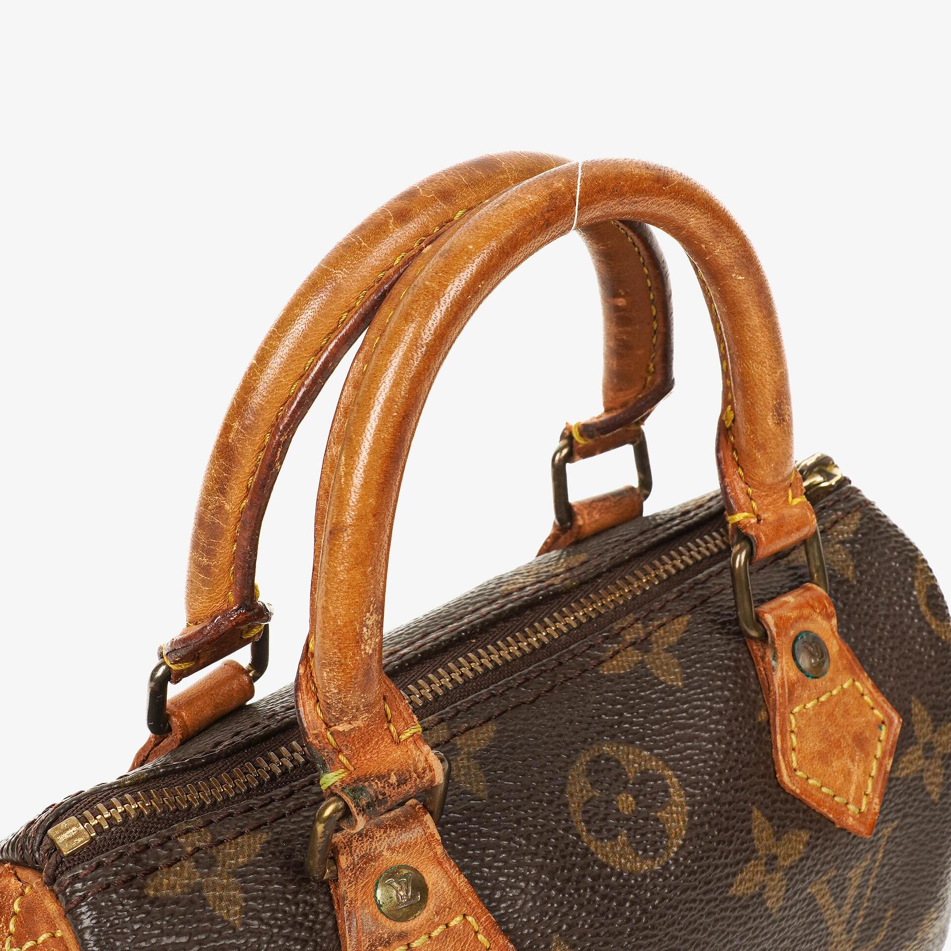 Louis Vuitton Nano Speedy Monogram Canvas Mini Bag