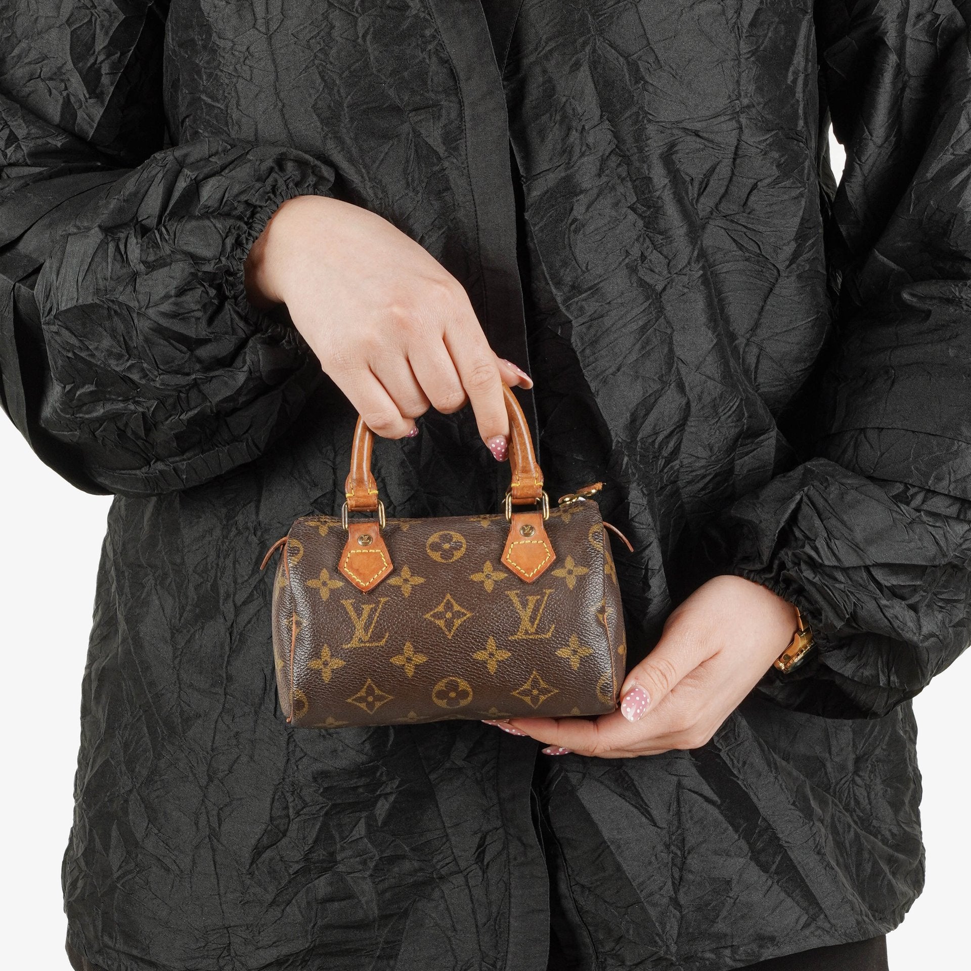 Louis Vuitton Nano Speedy Monogram Canvas Mini Bag