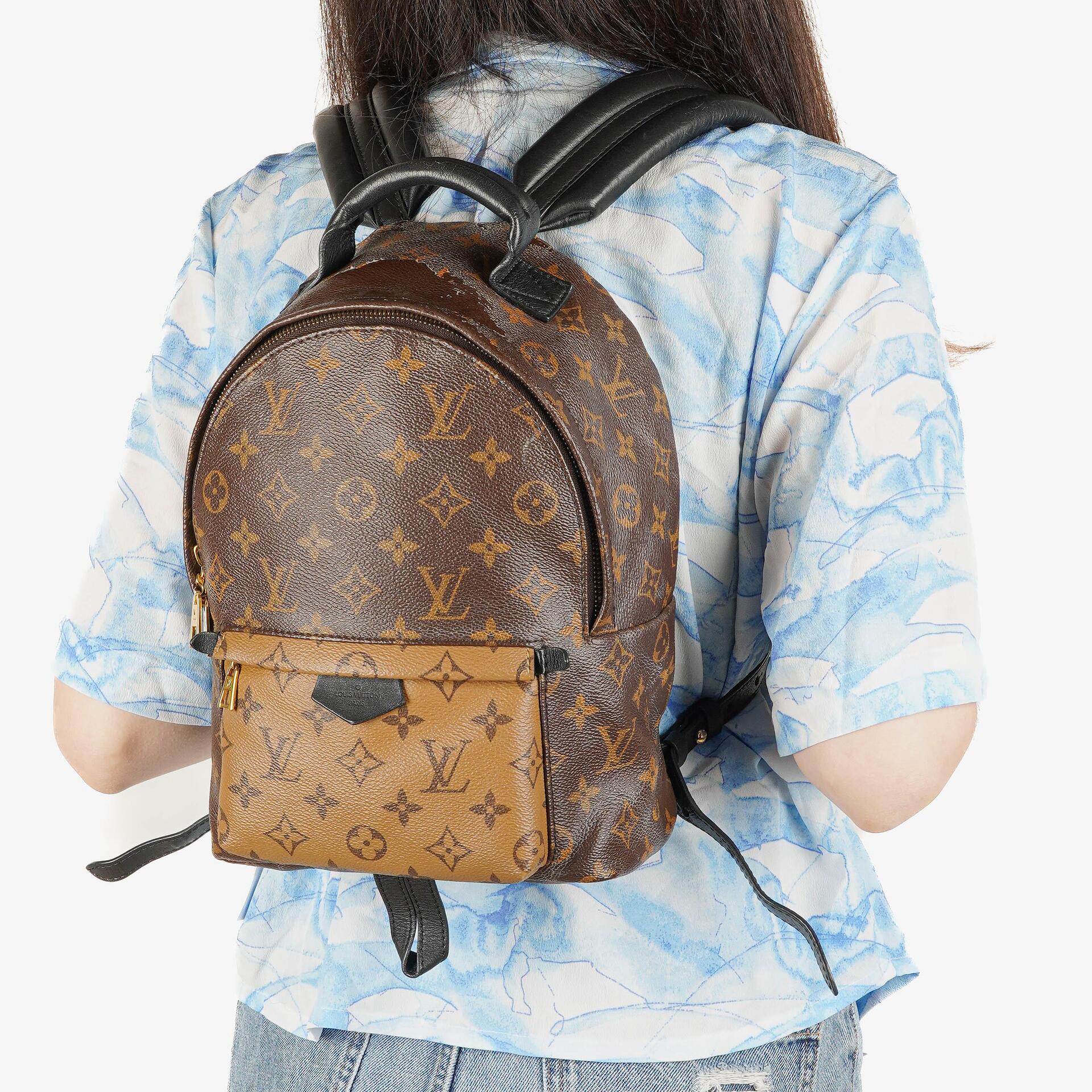 Louis Vuitton Reverse Monogram Canvas Palm Springs PM Backpack