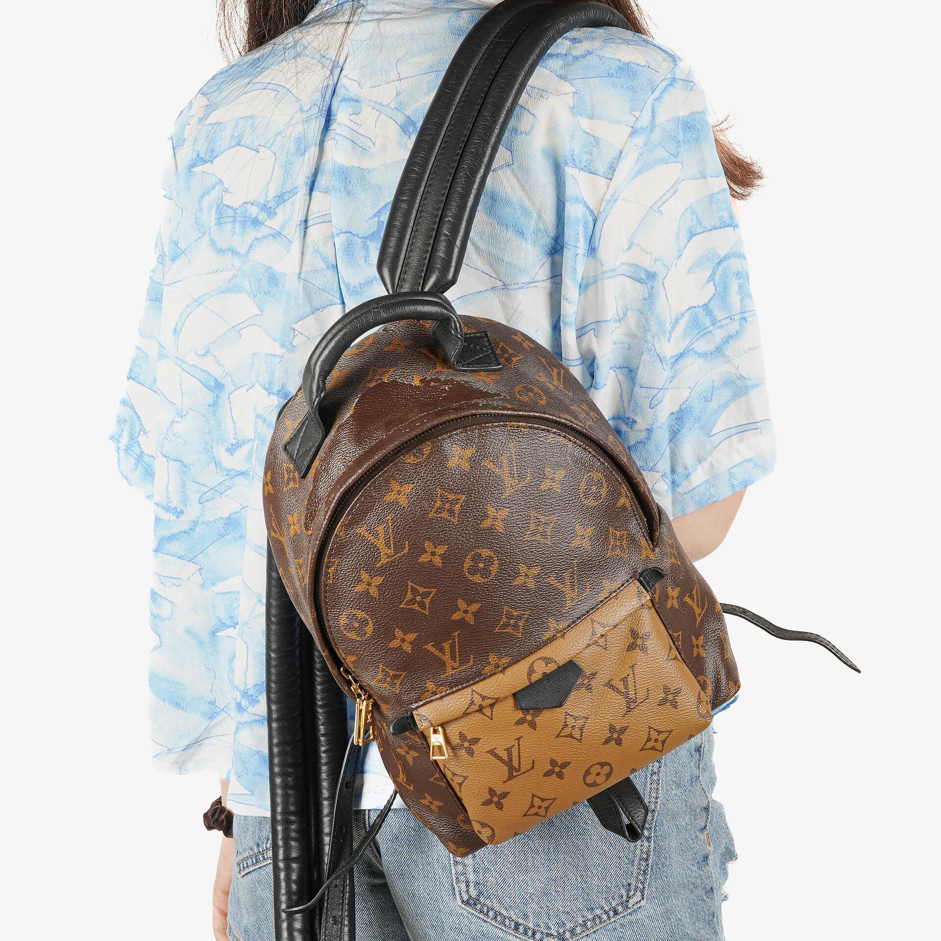 Louis Vuitton Reverse Monogram Canvas Palm Springs PM Backpack