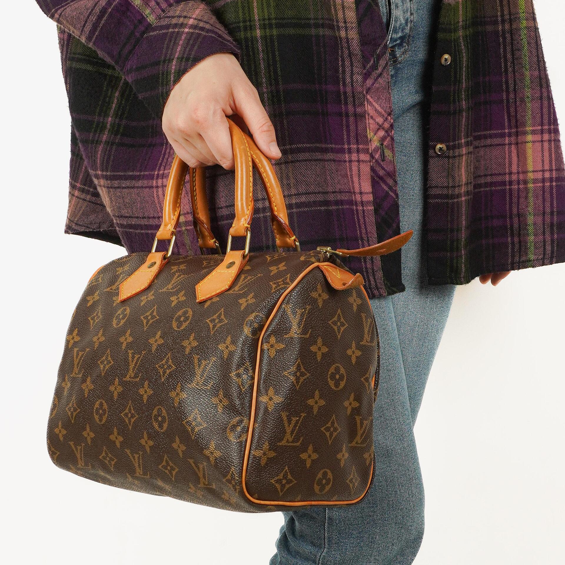 Louis Vuitton Speedy 25 Monogram Canvas Bag