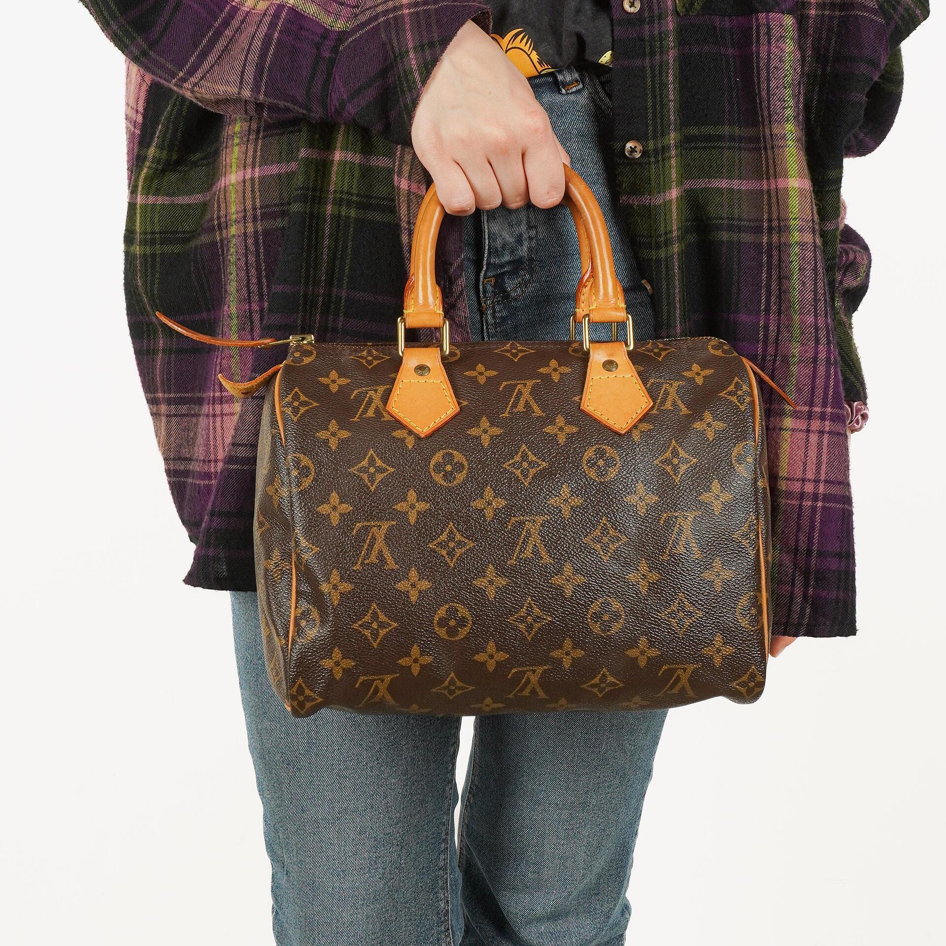 Louis Vuitton Speedy 25 Monogram Canvas Bag