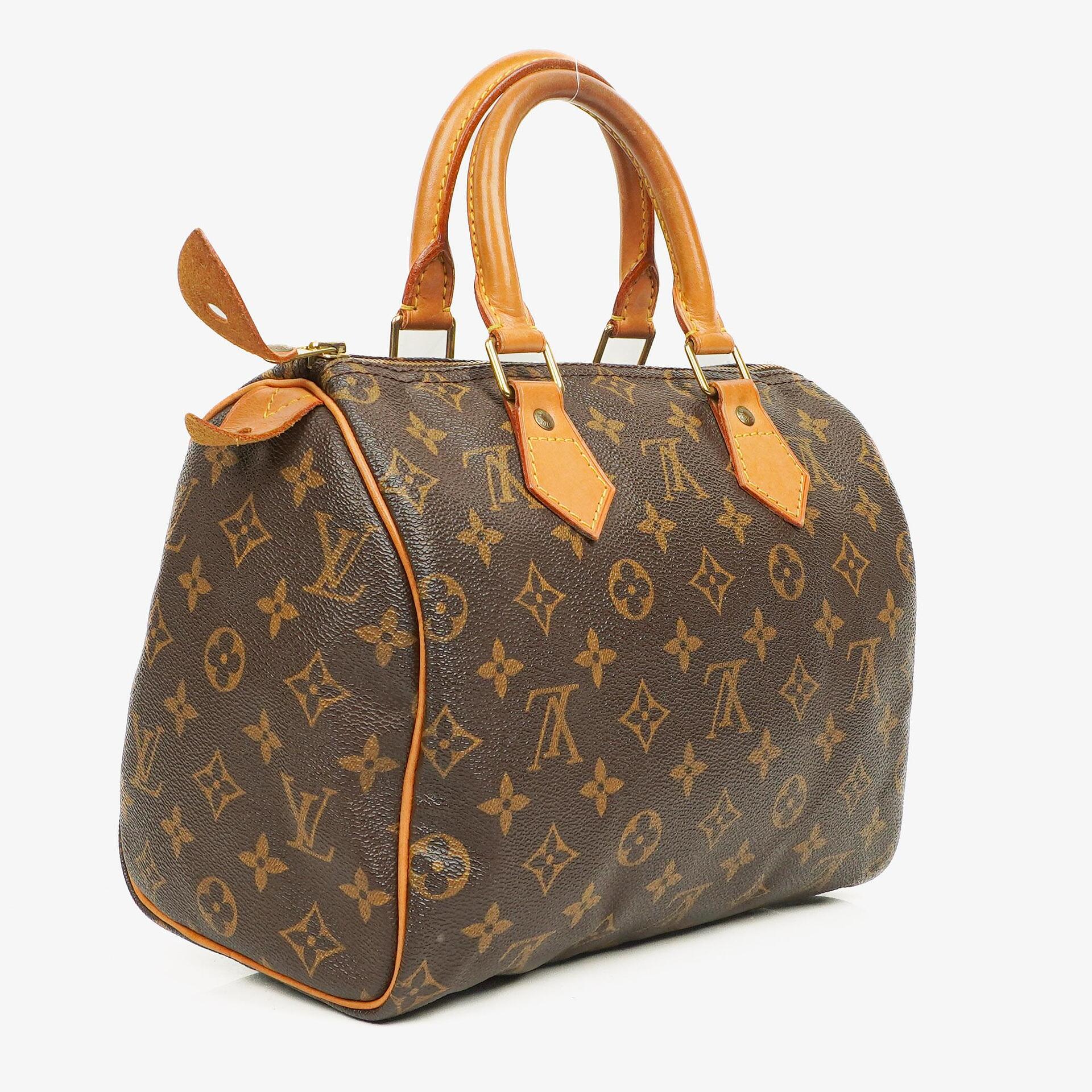 Louis Vuitton Speedy 25 Monogram Canvas Bag