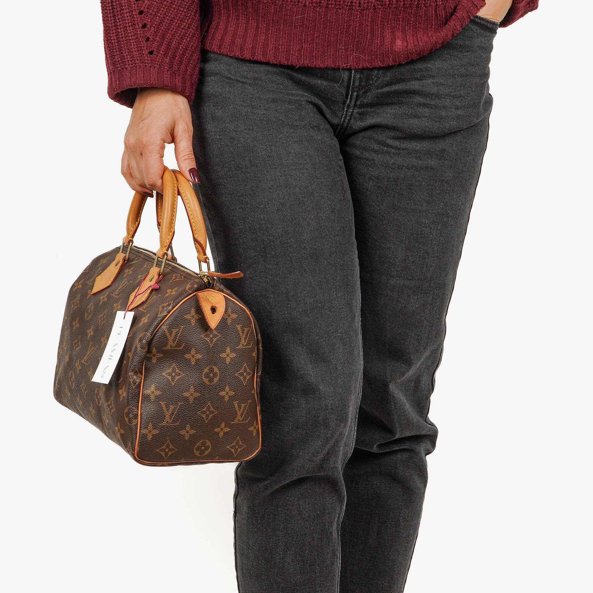 Louis Vuitton Speedy 25 Monogram Canvas Bag