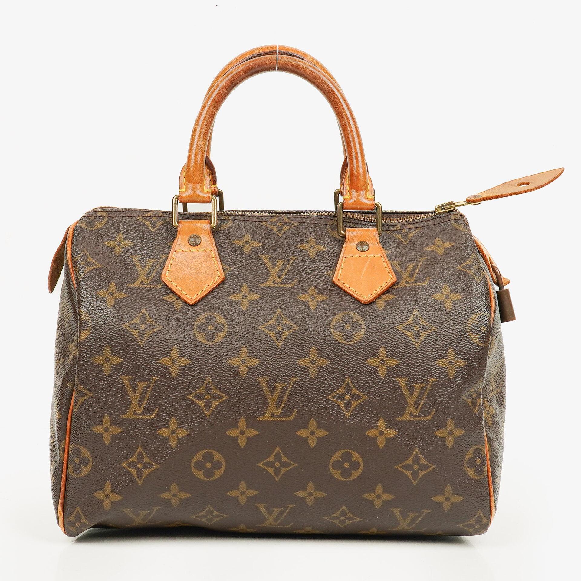 Louis Vuitton Speedy 25 Monogram Canvas Bag
