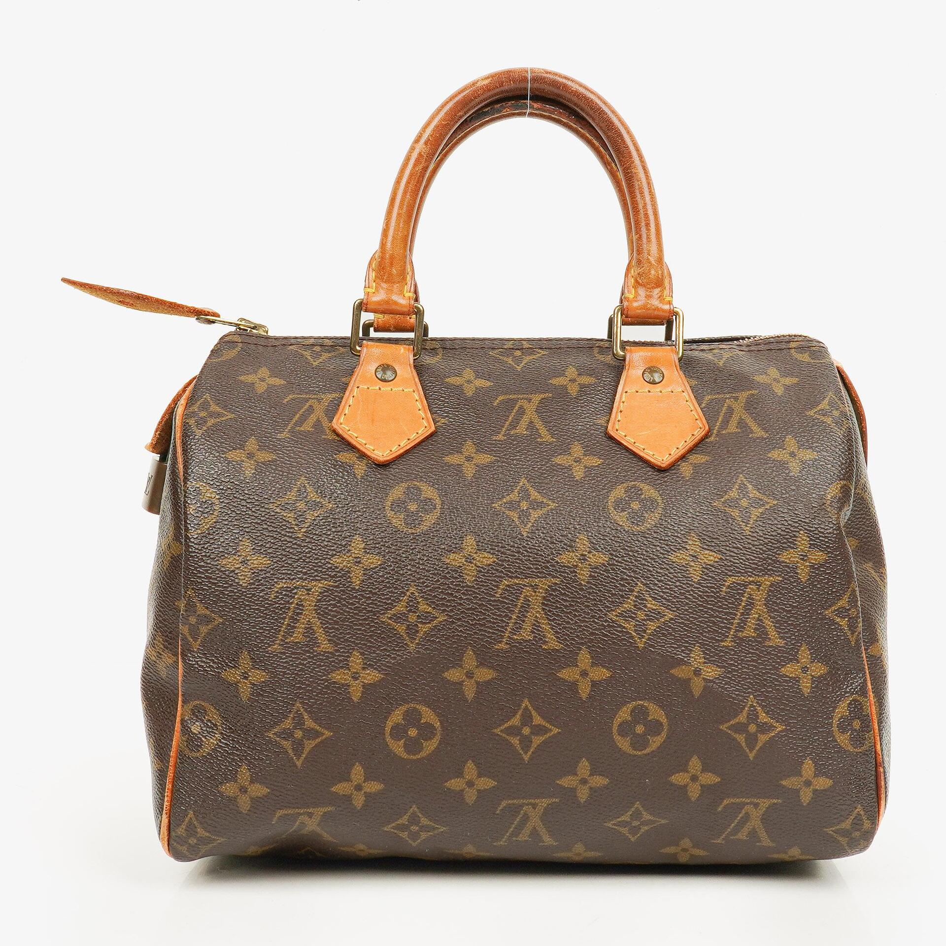 Louis Vuitton Speedy 25 Monogram Canvas Bag