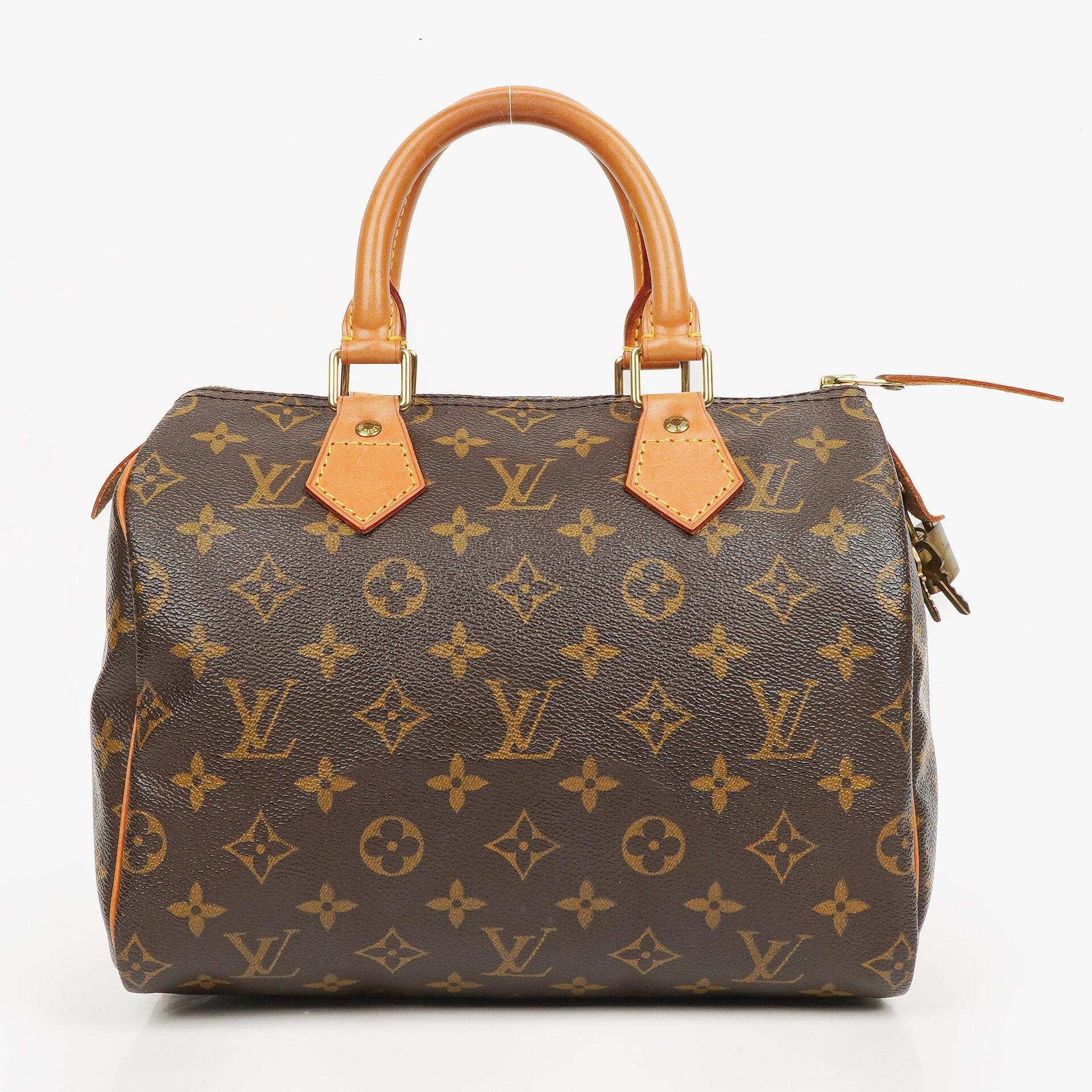 Louis Vuitton Speedy 25 Monogram Canvas Bag