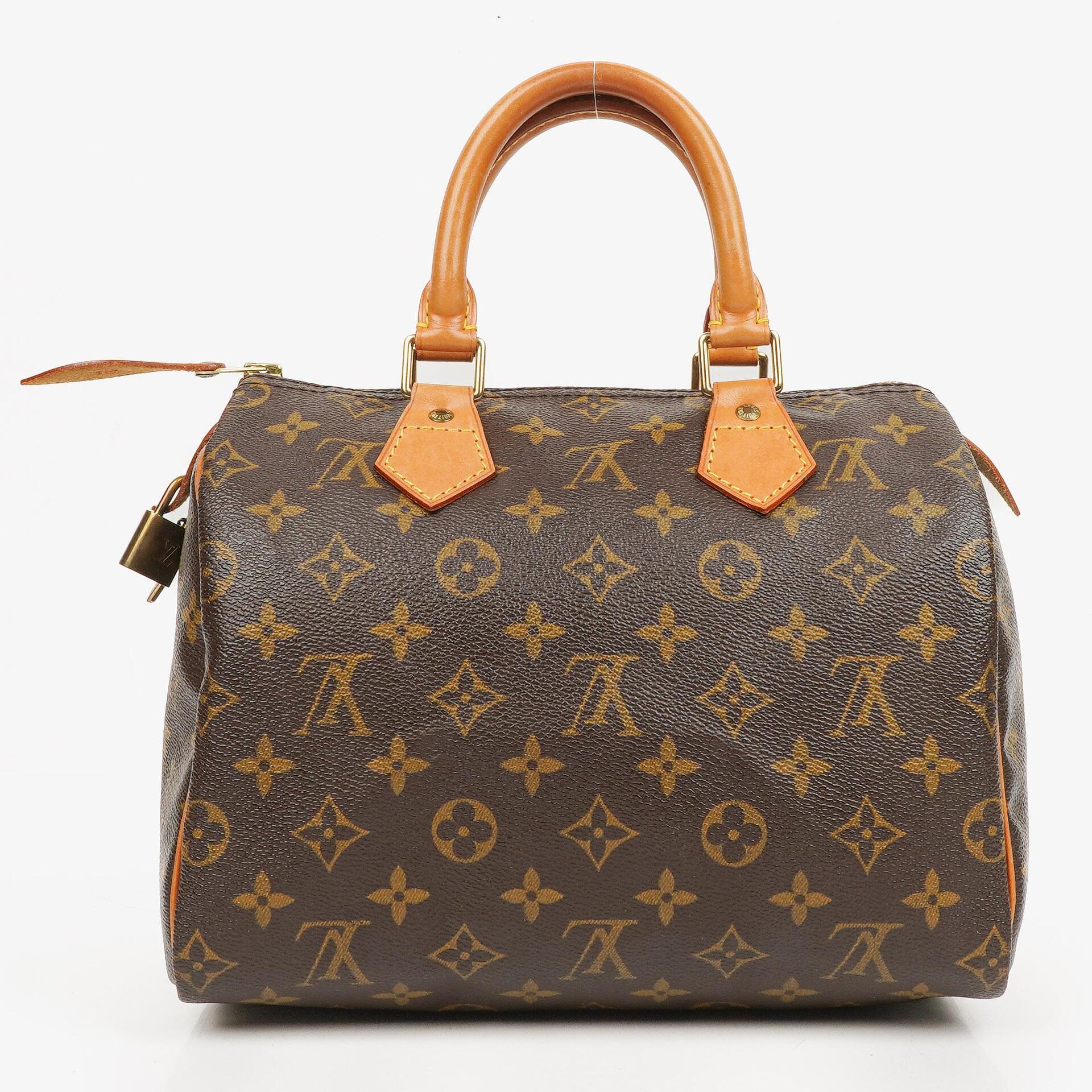 Louis Vuitton Speedy 25 Monogram Canvas Bag