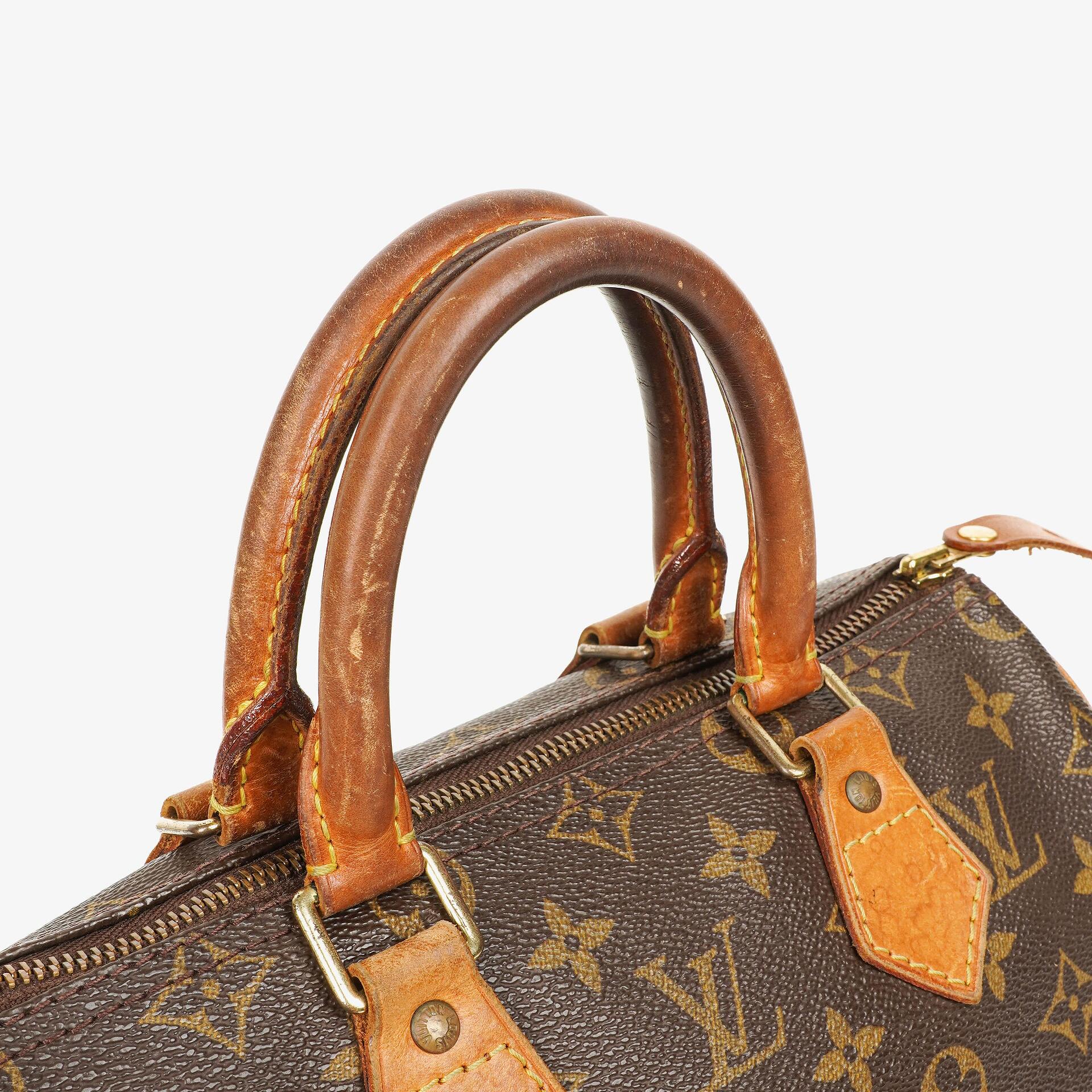 Louis Vuitton Speedy 25 Monogram Canvas Bag