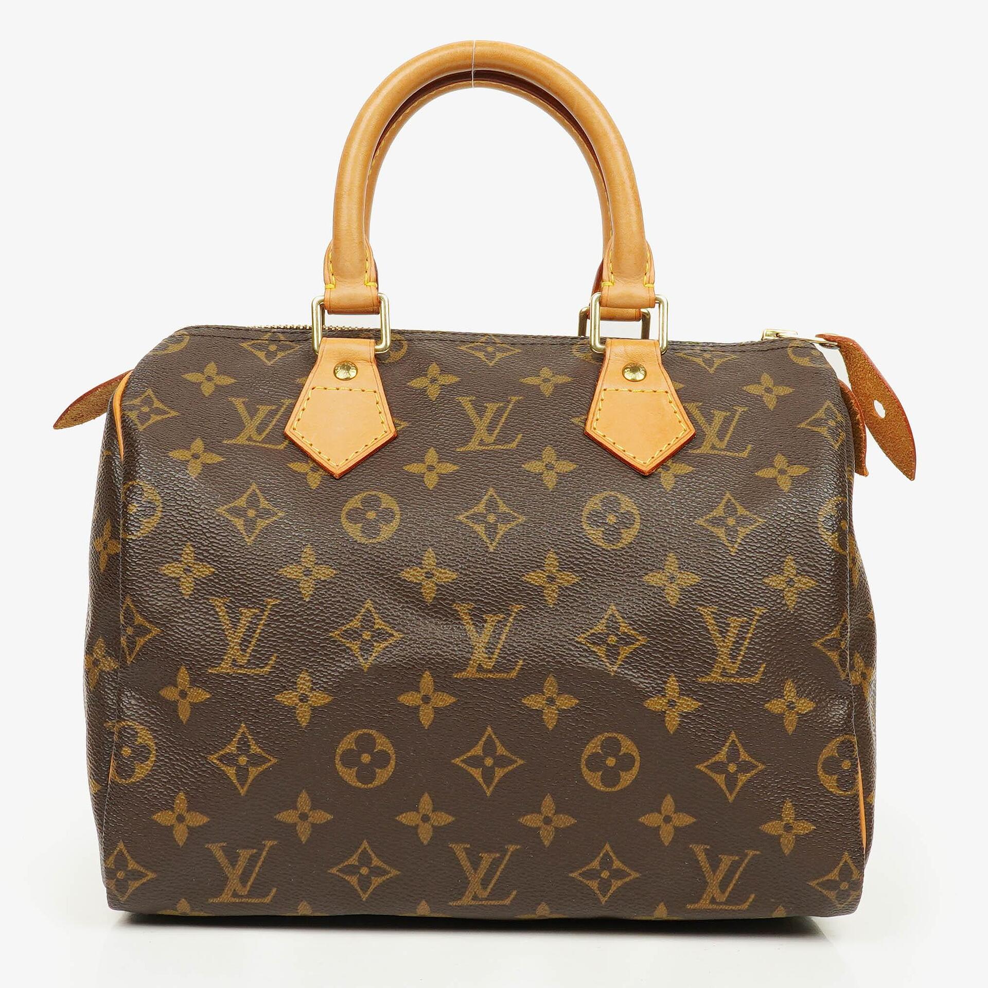 Louis Vuitton Speedy 25 Monogram Canvas Bag
