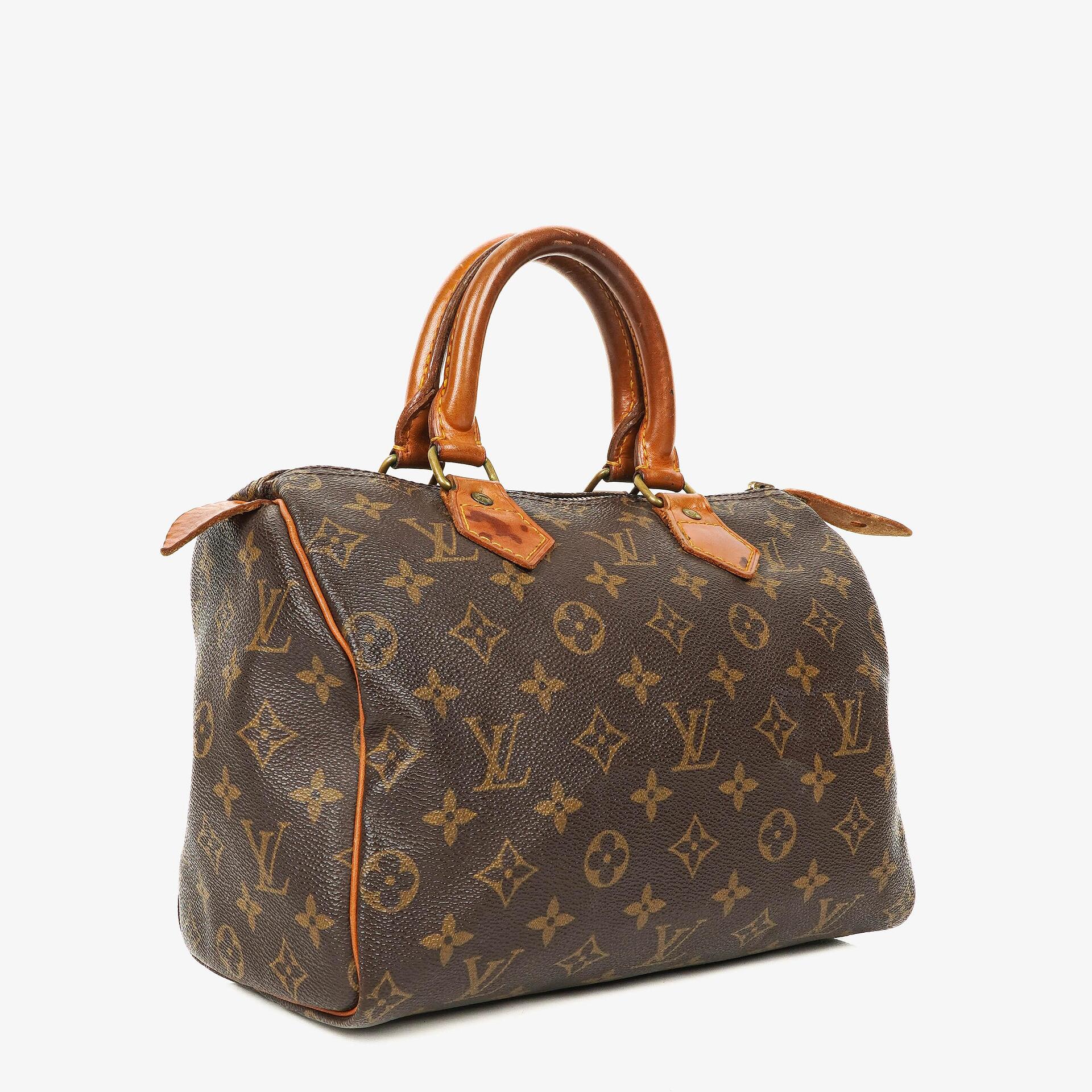 Louis Vuitton Speedy 25 Monogram Canvas Bag