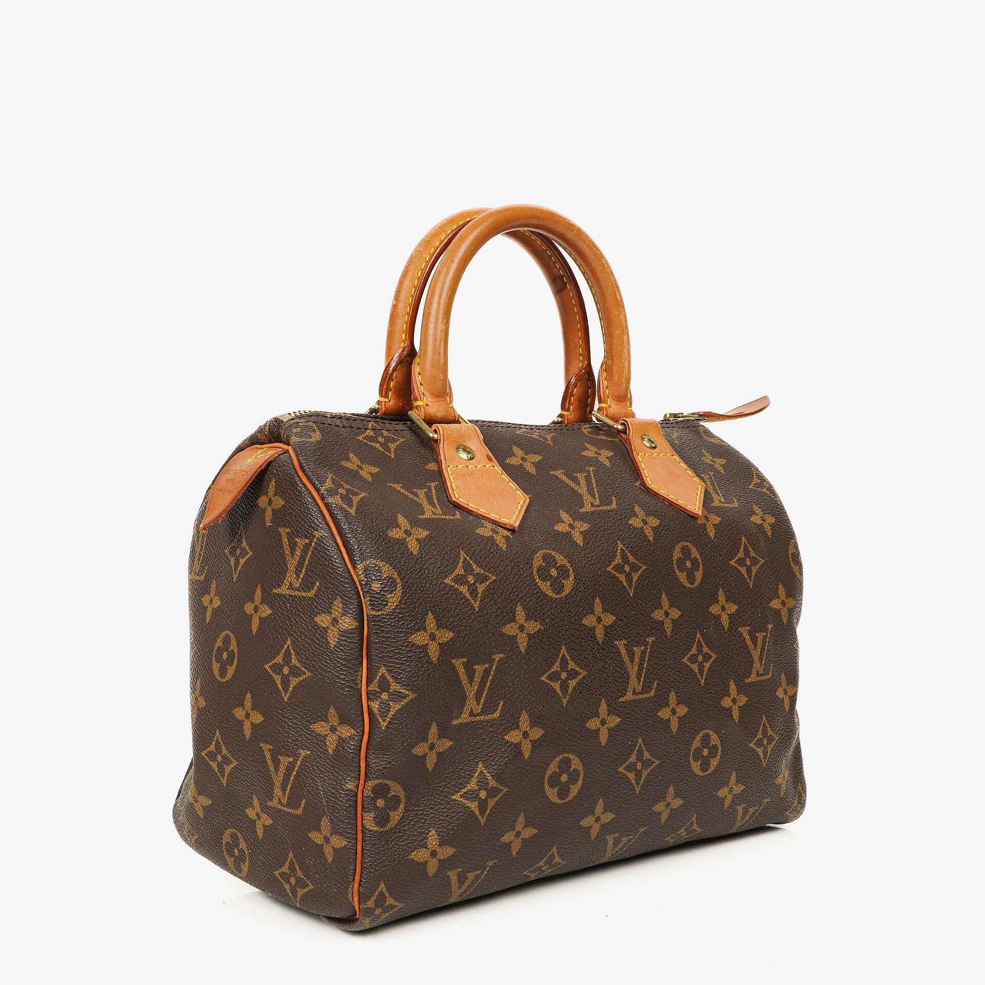 Louis Vuitton Speedy 25 Monogram Canvas Bag