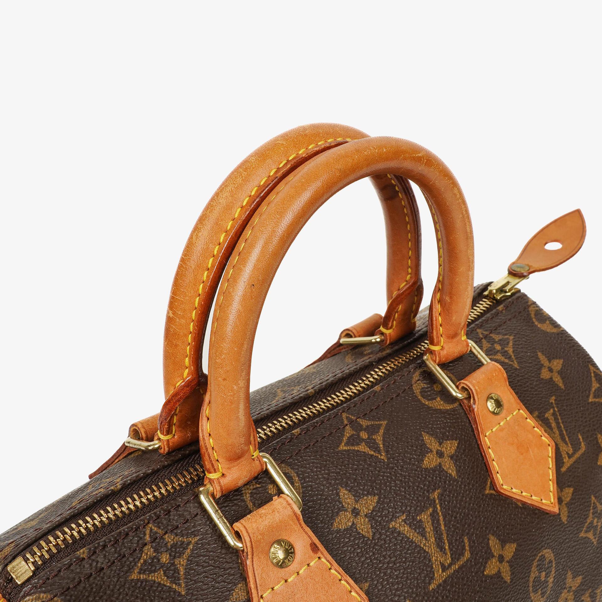 Louis Vuitton Speedy 25 Monogram Canvas Bag