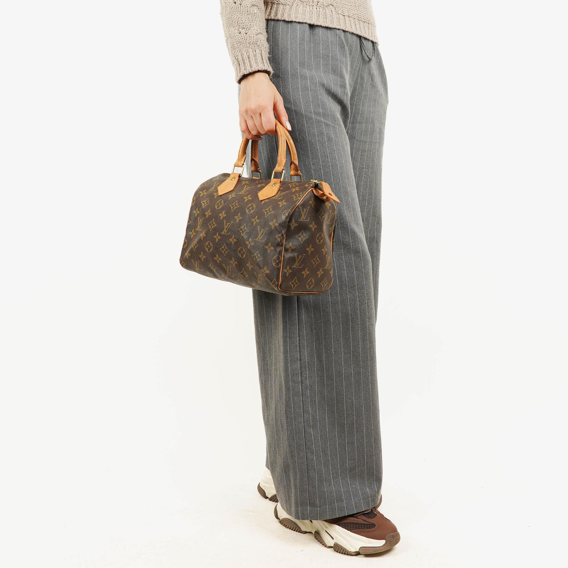 Louis Vuitton Speedy 25 Monogram Canvas Bag