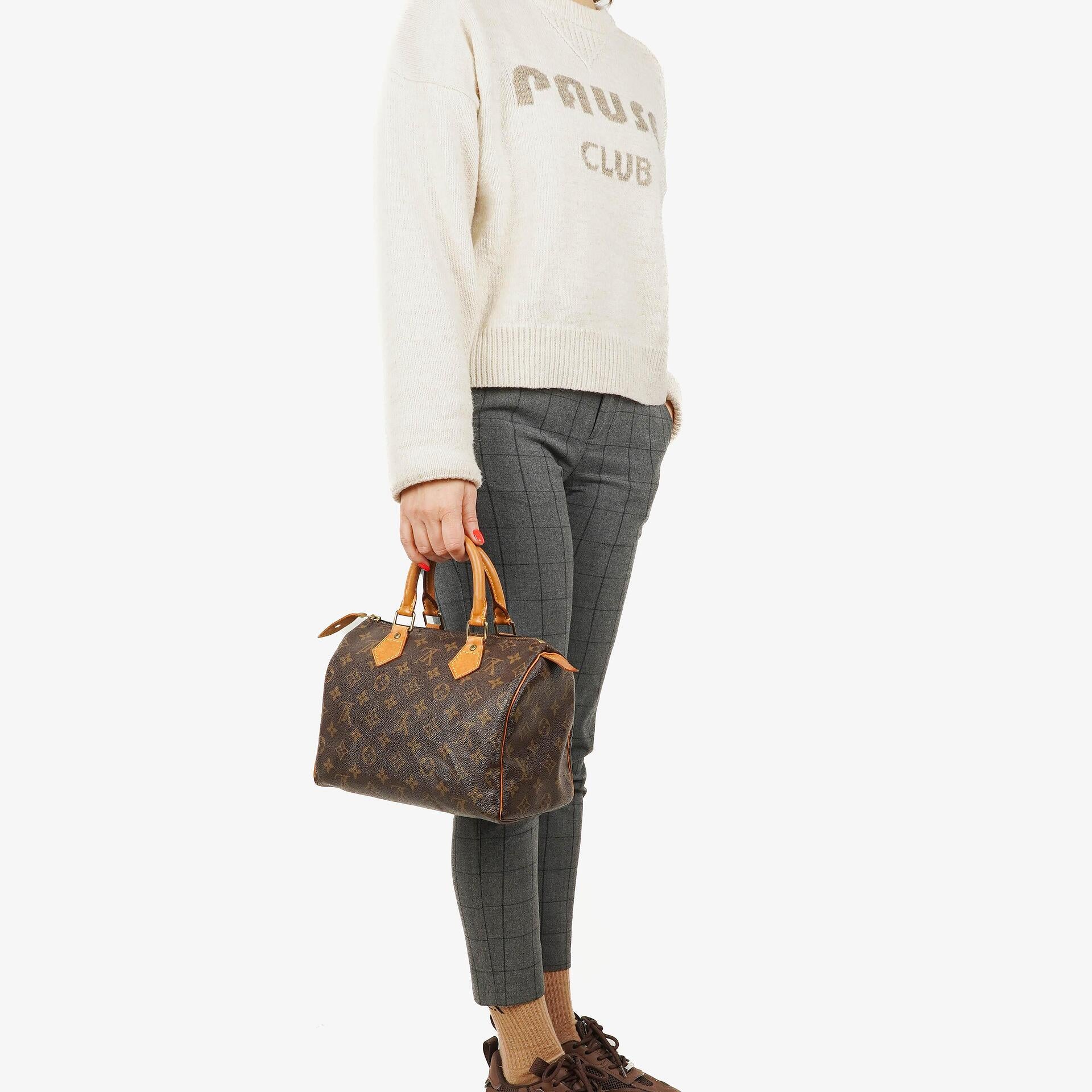 Louis Vuitton Speedy 25 Monogram Canvas Bag