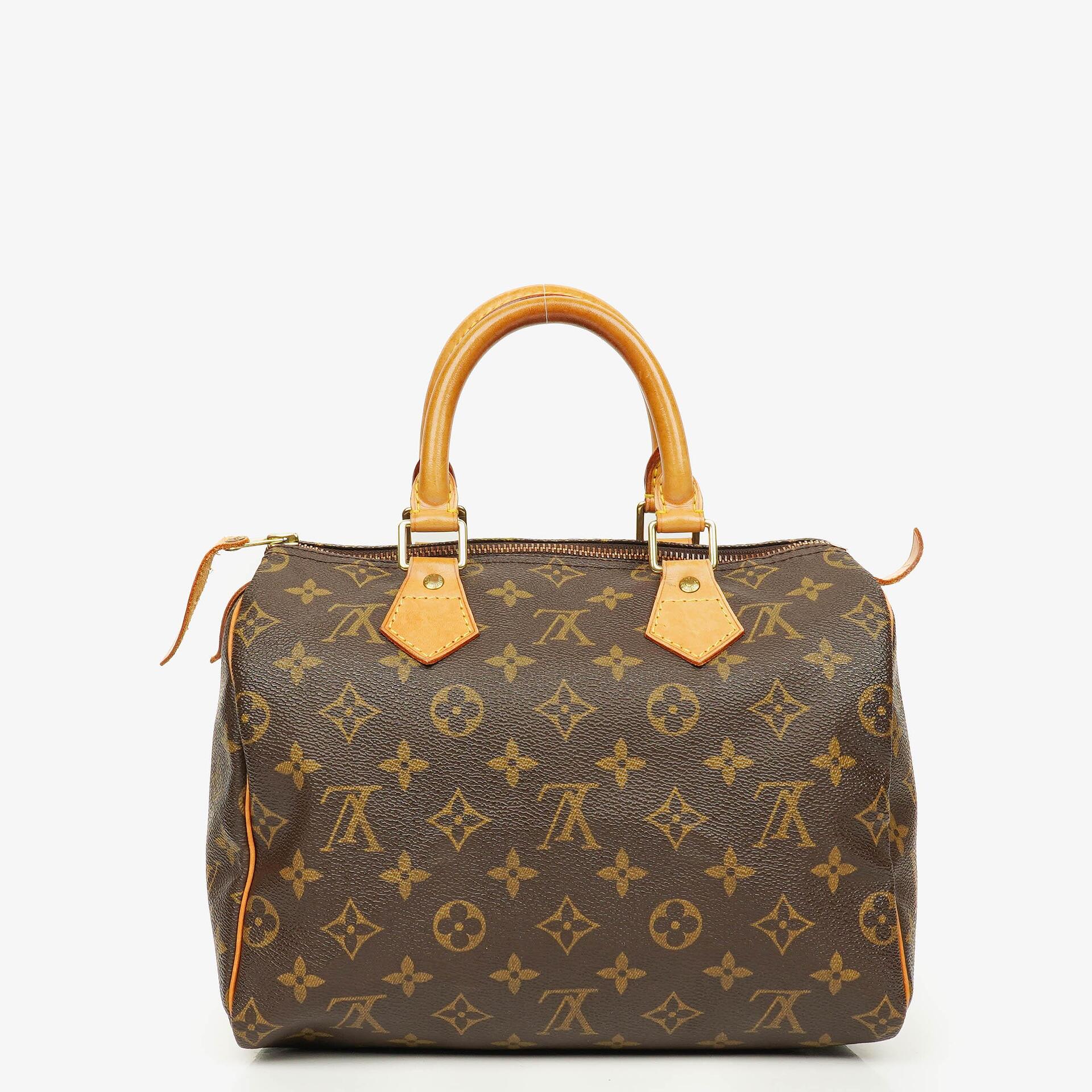 Louis Vuitton Speedy 25 Monogram Canvas Bag