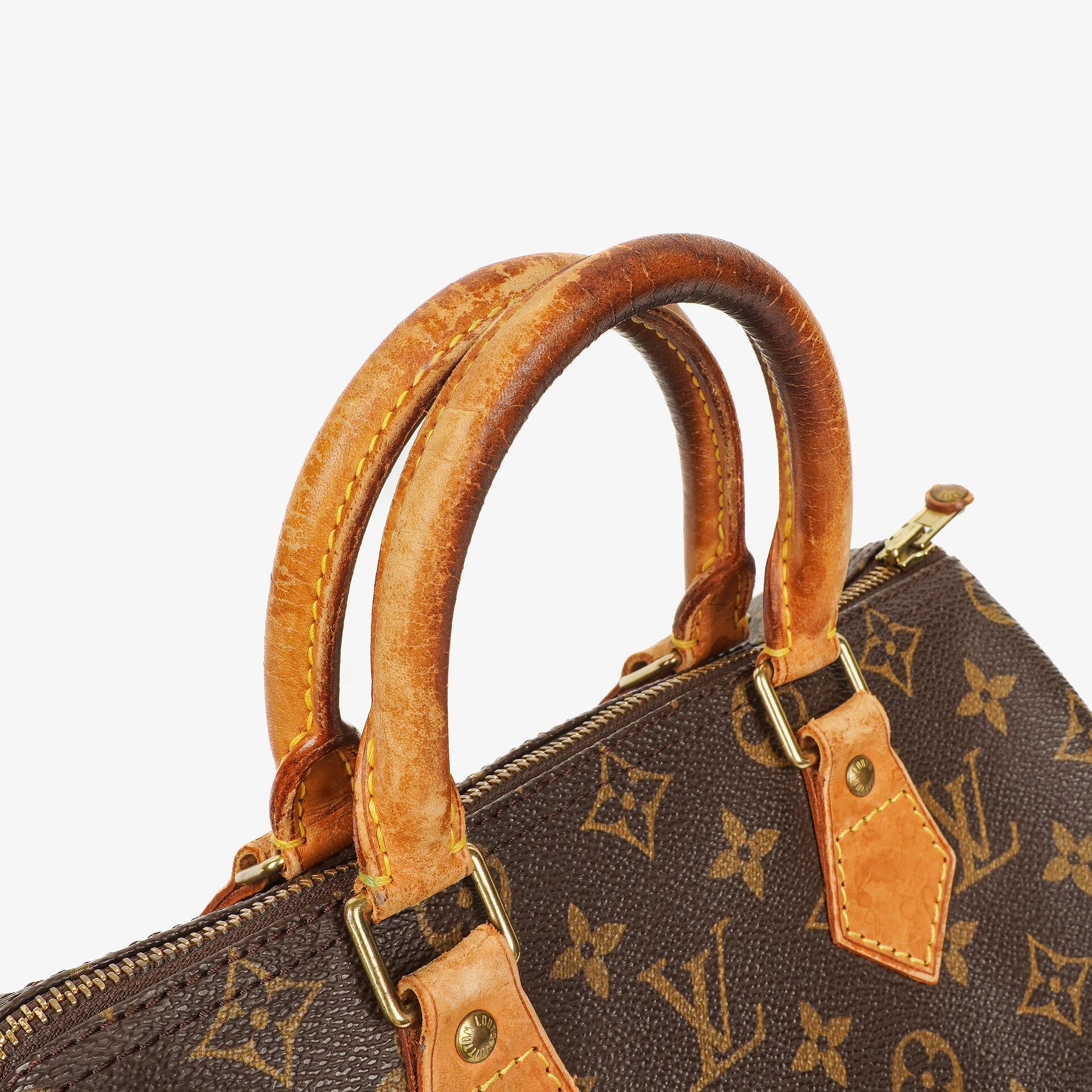 Louis Vuitton Speedy 25 Monogram Canvas Bag