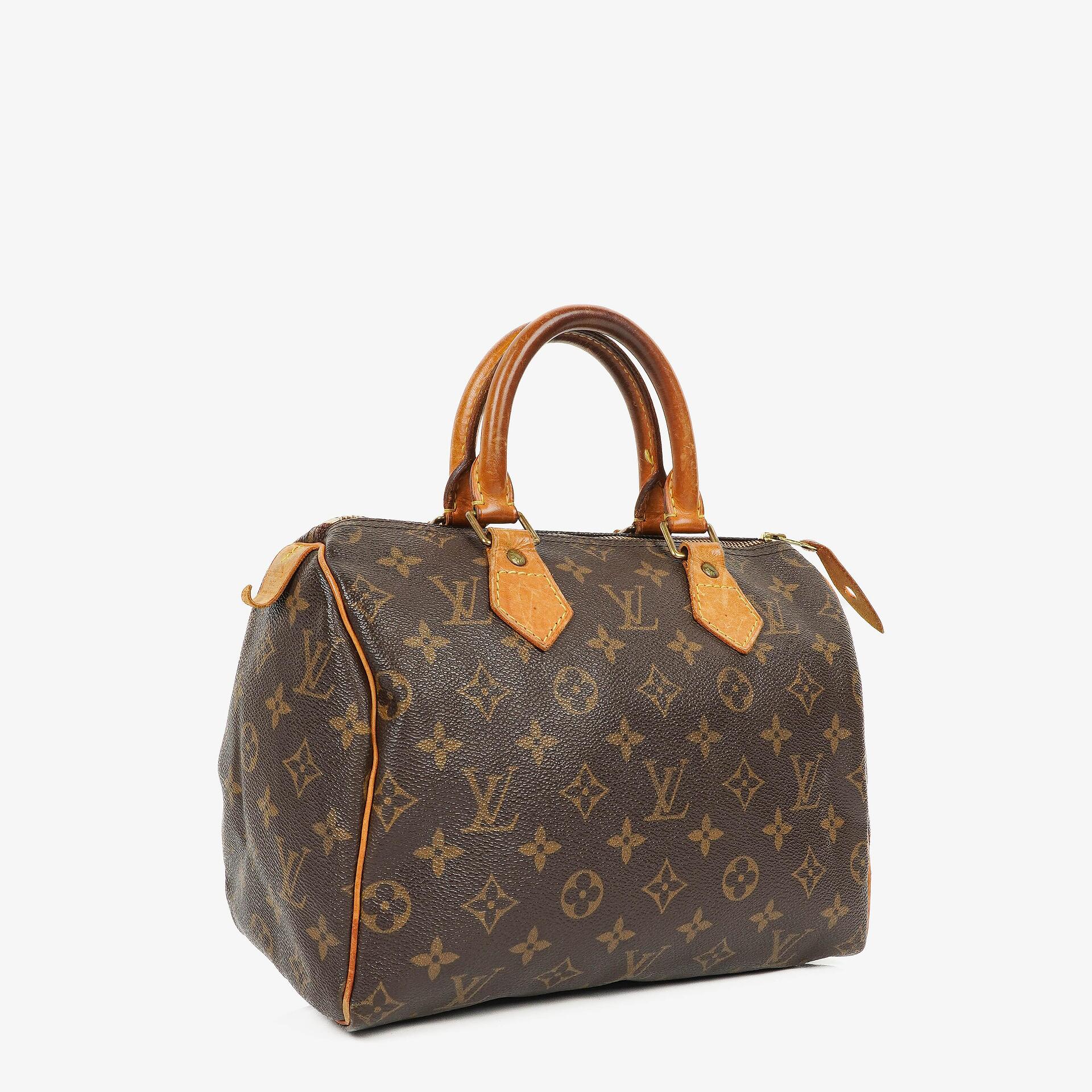 Louis Vuitton Speedy 25 Monogram Canvas Bag