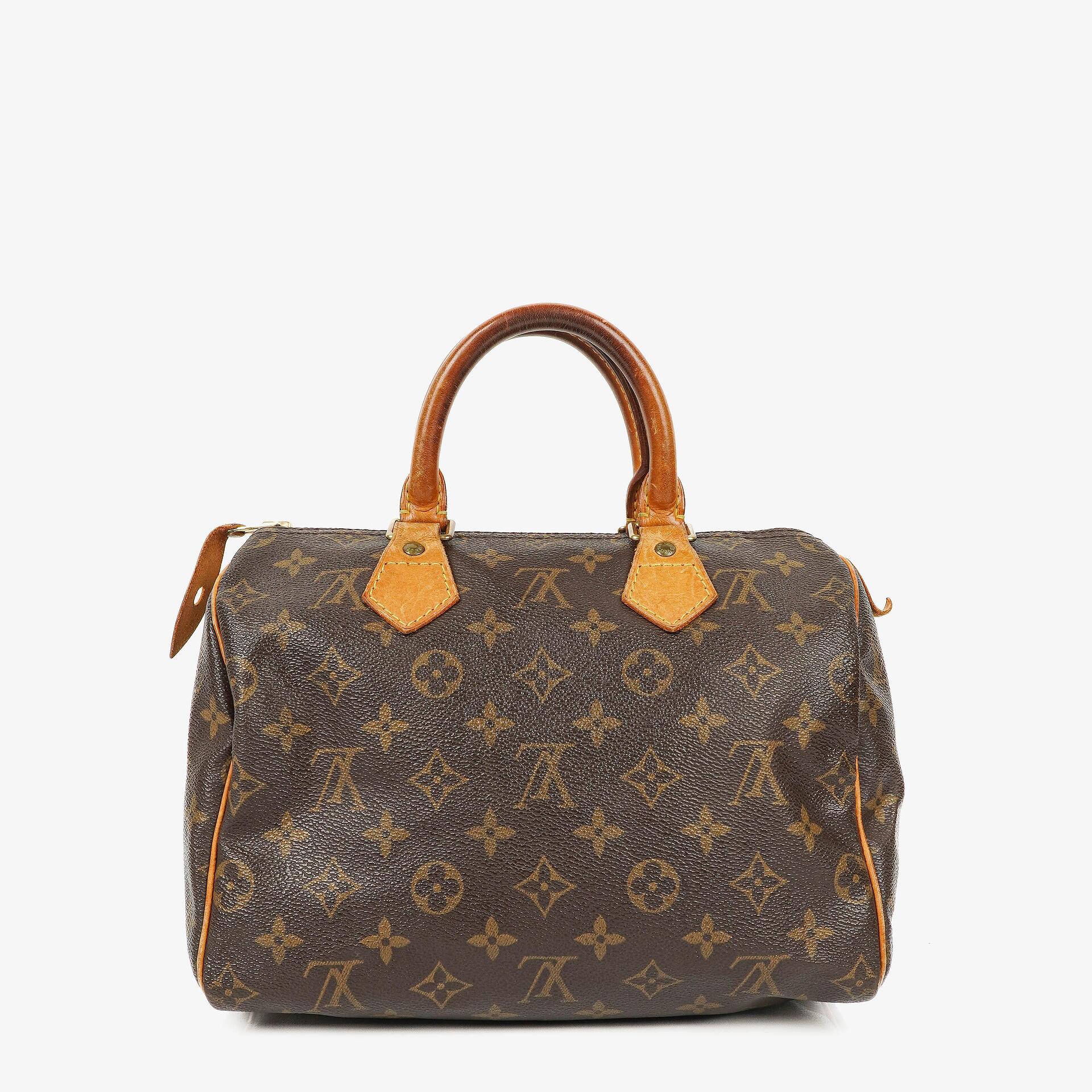Louis Vuitton Speedy 25 Monogram Canvas Bag