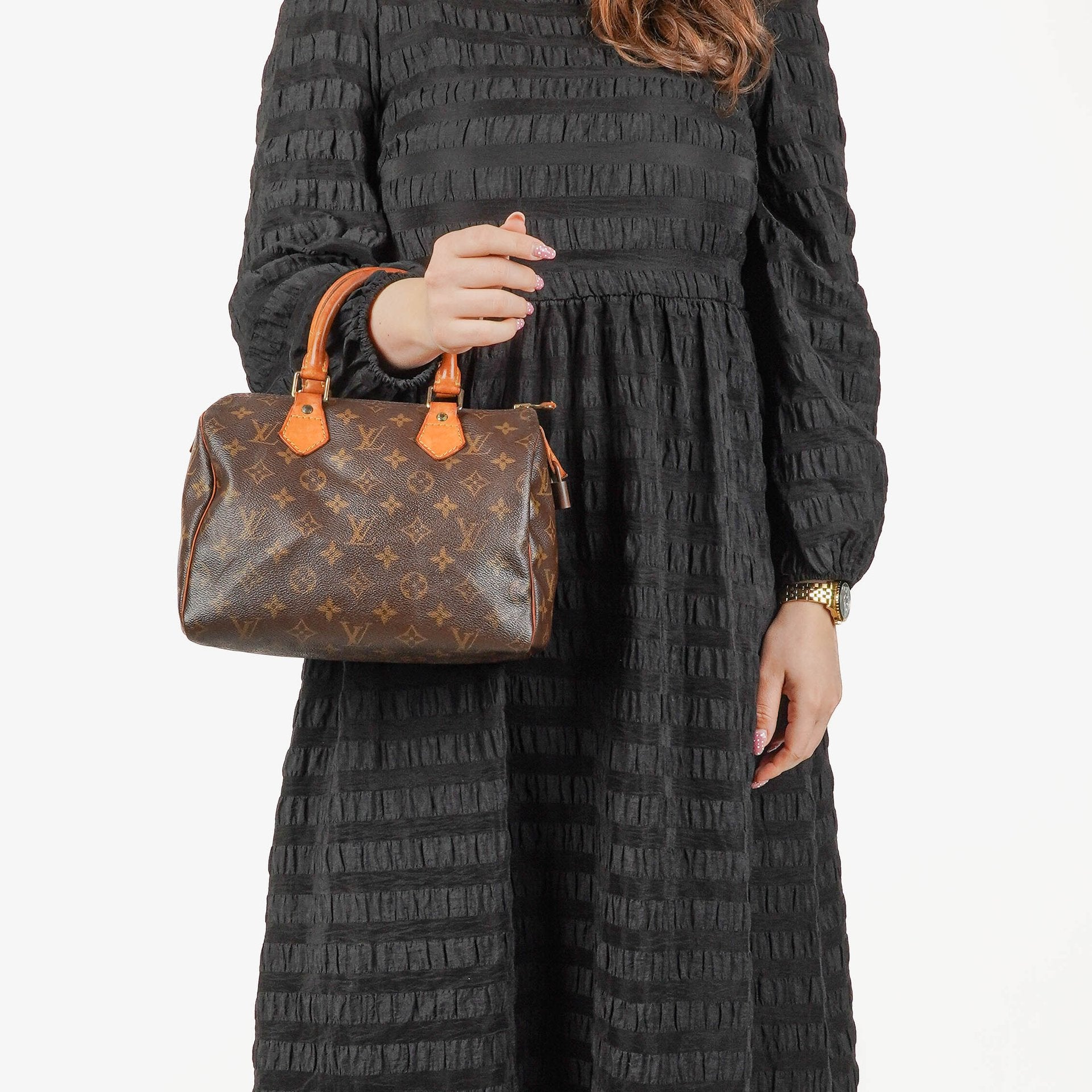 Louis Vuitton Speedy 25 Monogram Canvas Bag