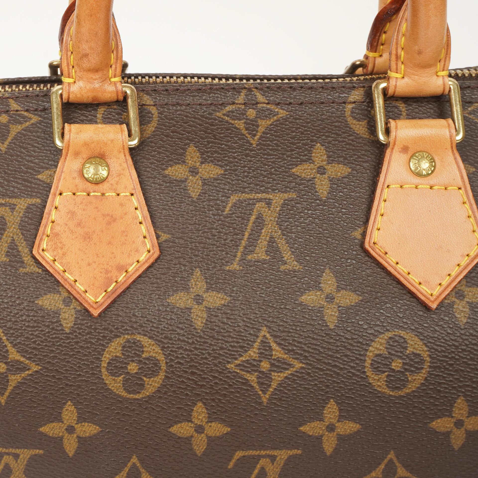 Louis Vuitton Speedy 25 Monogram Canvas Handbag