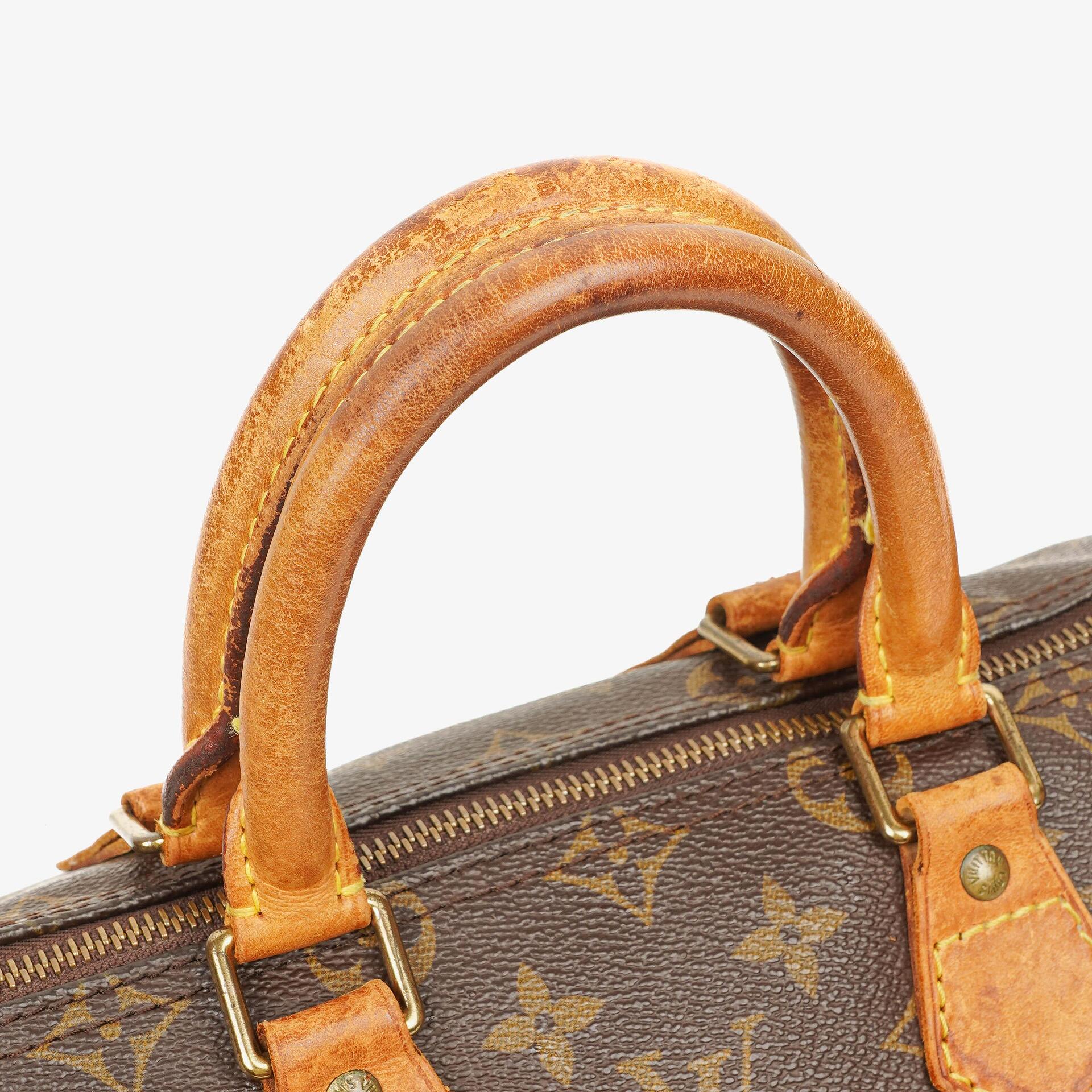 Louis Vuitton Speedy 25 Monogram Canvas Handbag